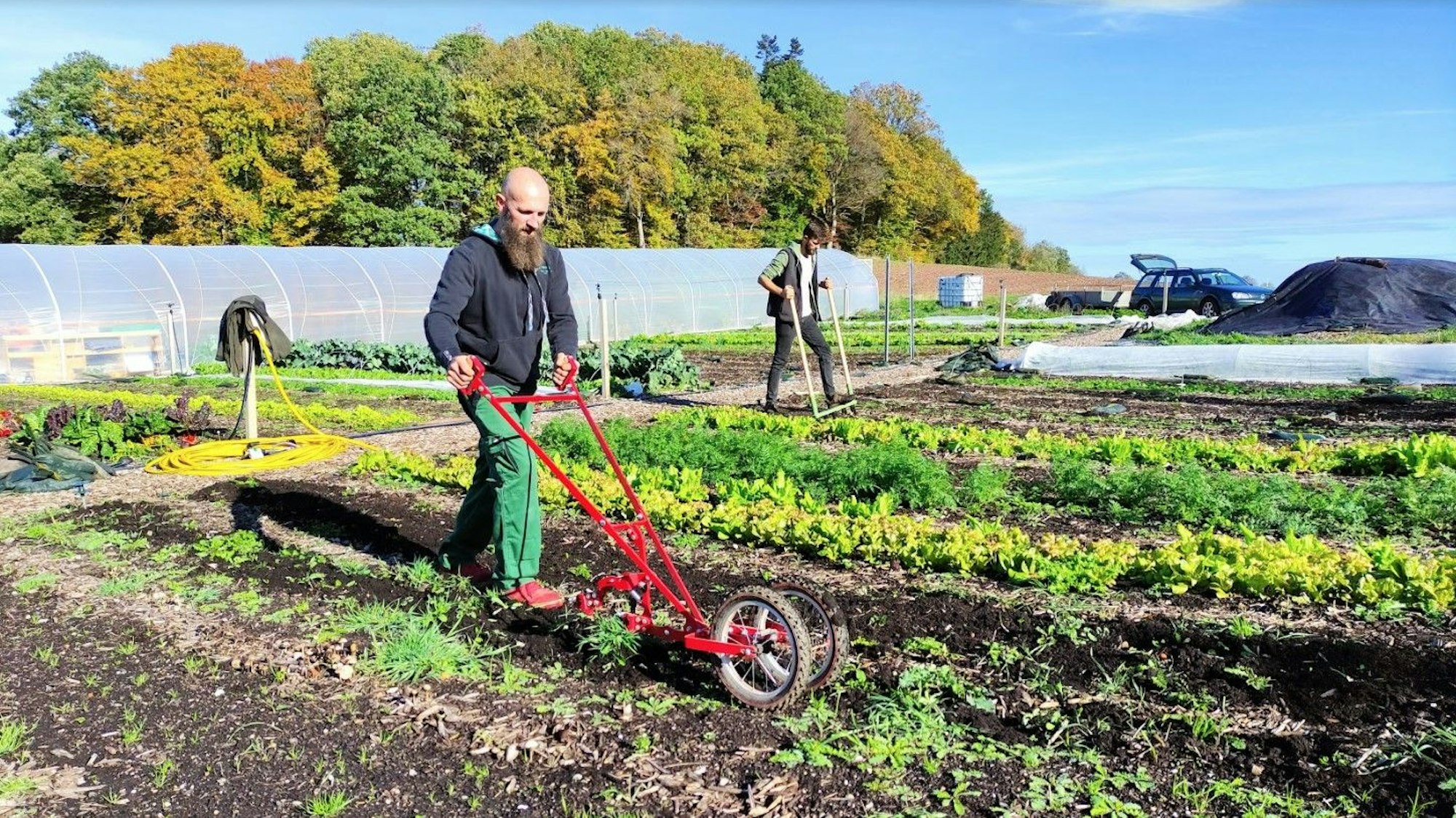 Zwei Männer bearbeiten Beete mit einfachem Gerät.