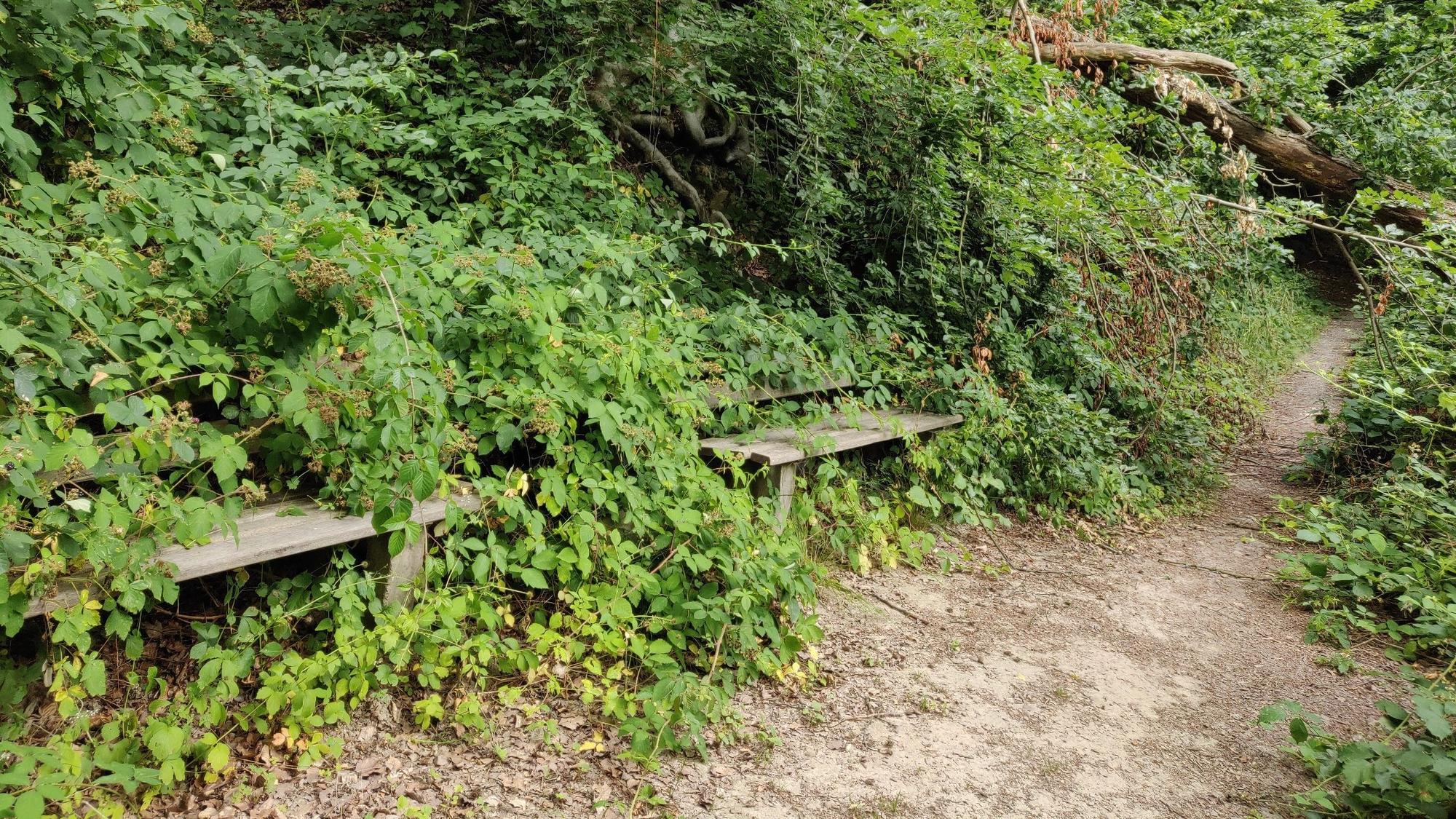 Seit dem Hochwasser 2021 gibt es keinen passablen Fußweg mehr hinter dem Altenzentrum Hasensprungmühle und dem Wanderparkplatz Weltersbachtal. (Archivfoto)