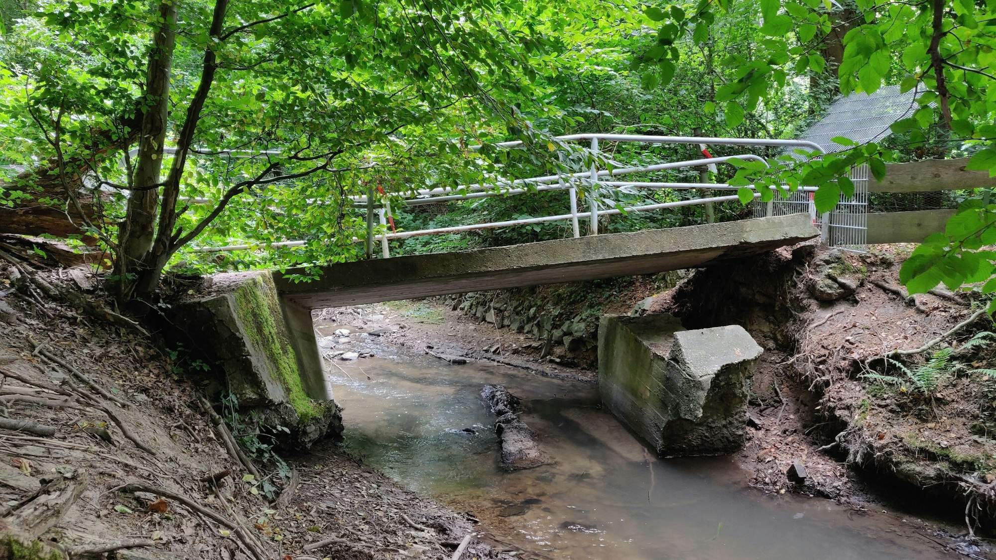 Die bei der Flut 2021 zerstörte Brücke des Wanderwegs am Nordufer des Hasensprungweihers liegt in Trümmern
