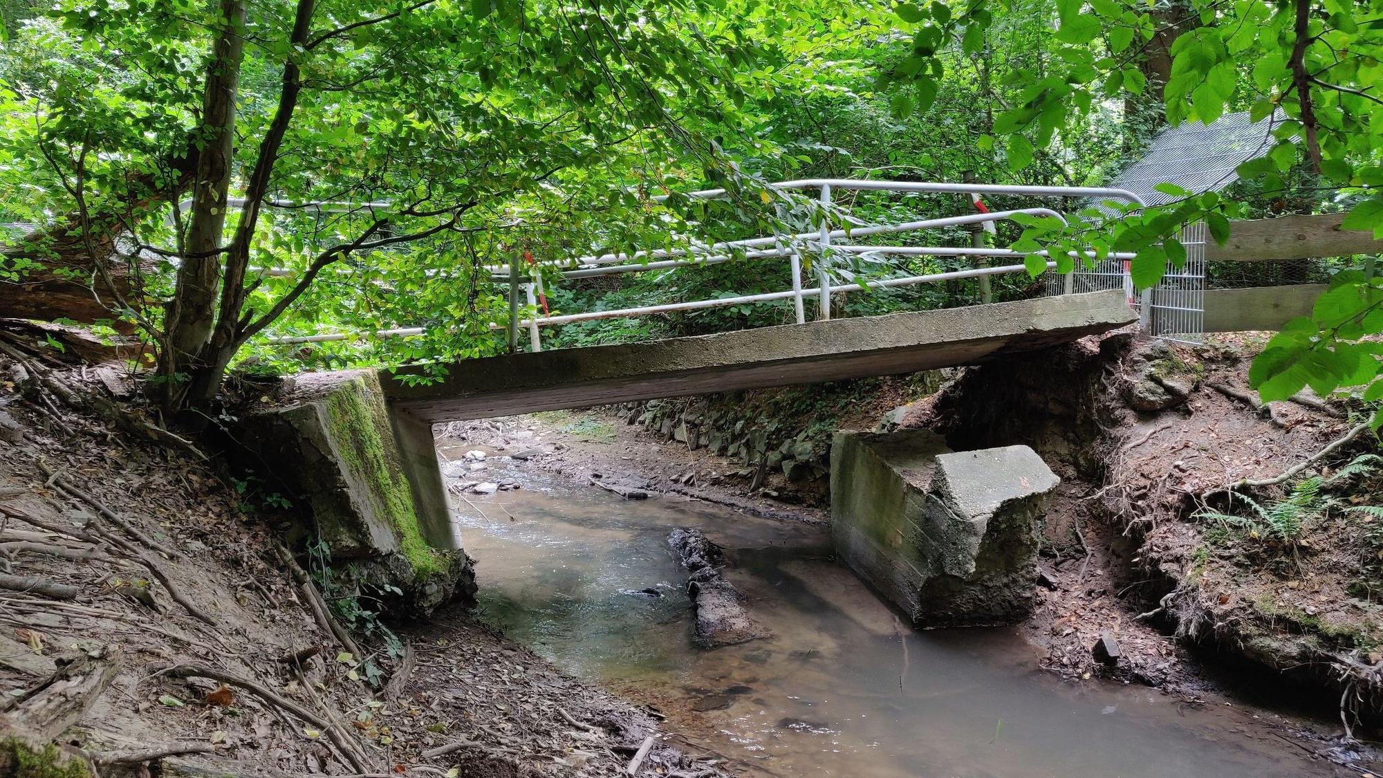 Anglerteich und Wanderweg am Hasensprungweiher in Leichlingen