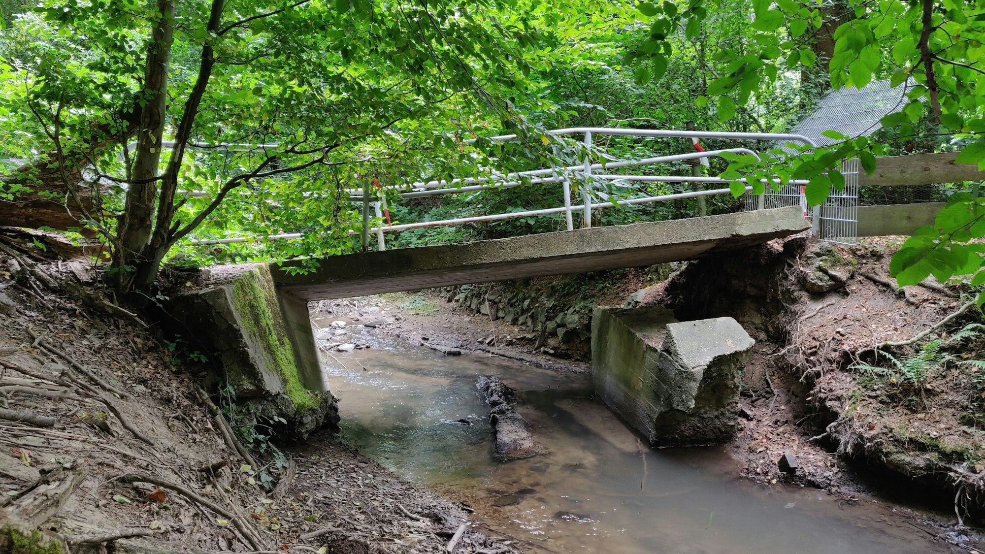 Anglerteich und Wanderweg am Hasensprungweiher in Leichlingen