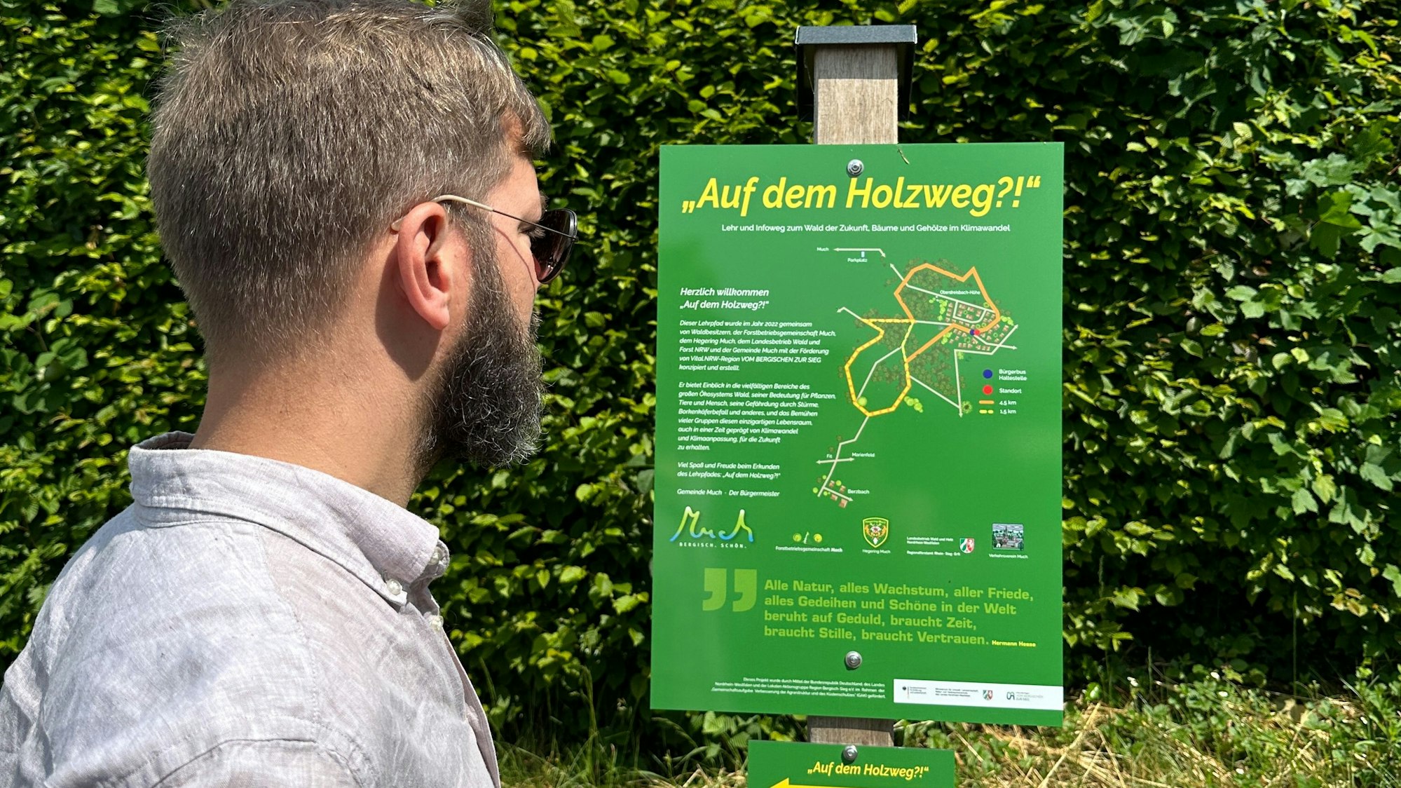 Ein Mann schaut sich eine Infotafel zum Holzweg an.