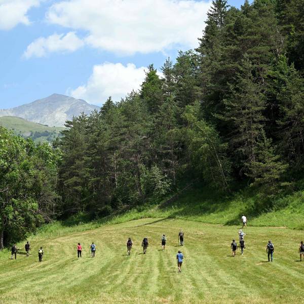 Freiwillige durchkämmen die Felder und Wälder im Ort Le Vernet in Frankreich nach dem vermissten Émile. Der zweijährige Junge ist seit Tagen verschwunden.