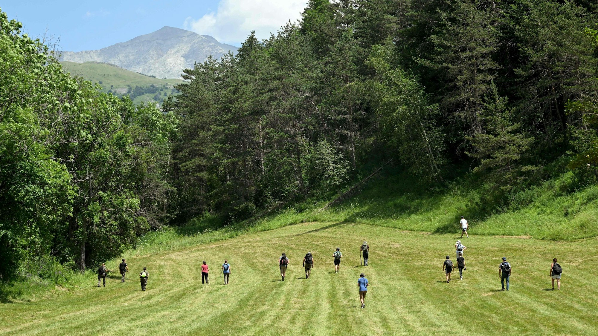Freiwillige durchkämmen die Felder und Wälder im Ort Le Vernet in Frankreich nach dem vermissten Émile. Der zweijährige Junge ist seit Tagen verschwunden.