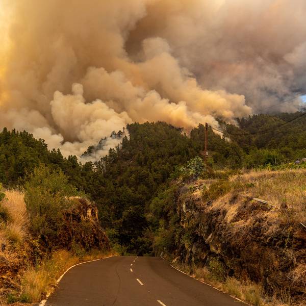 15.07.2023, Spanien, La Palma: Durch den Waldband verursachter Rauch steigt in den Himmel. Wegen eines Waldbrands auf der zu Spanien gehörenden Kanareninsel La Palma sind mindestens 500 Menschen aus ihren Häusern in Sicherheit gebracht worden. Das Feuer war am frühen Morgen in der Nähe der Ortschaft Puntagorda im Nordwesten der Insel ausgebrochen. Wegen der großen Trockenheit und heftiger Winde breiteten sich die Flammen schnell aus, berichtete der Bürgermeister des Ortes. Foto: Europa Press/EUROPA PRESS/dpa +++ dpa-Bildfunk +++