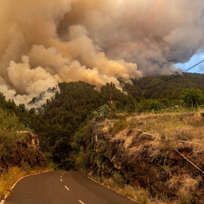 15.07.2023, Spanien, La Palma: Durch den Waldband verursachter Rauch steigt in den Himmel. Wegen eines Waldbrands auf der zu Spanien gehörenden Kanareninsel La Palma sind mindestens 500 Menschen aus ihren Häusern in Sicherheit gebracht worden. Das Feuer war am frühen Morgen in der Nähe der Ortschaft Puntagorda im Nordwesten der Insel ausgebrochen. Wegen der großen Trockenheit und heftiger Winde breiteten sich die Flammen schnell aus, berichtete der Bürgermeister des Ortes. Foto: Europa Press/EUROPA PRESS/dpa +++ dpa-Bildfunk +++