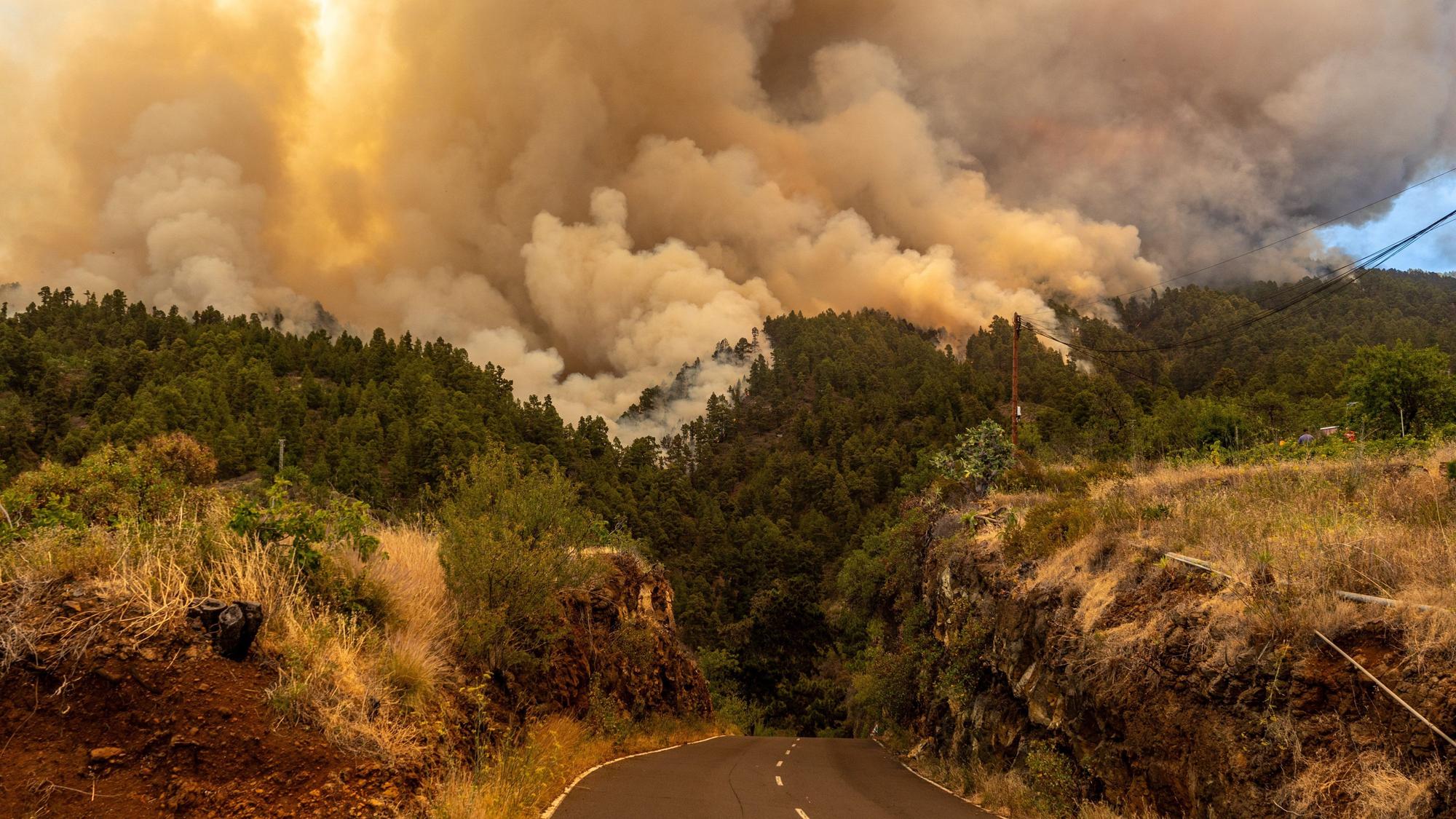 15.07.2023, Spanien, La Palma: Durch den Waldband verursachter Rauch steigt in den Himmel. Wegen eines Waldbrands auf der zu Spanien gehörenden Kanareninsel La Palma sind mindestens 500 Menschen aus ihren Häusern in Sicherheit gebracht worden. Das Feuer war am frühen Morgen in der Nähe der Ortschaft Puntagorda im Nordwesten der Insel ausgebrochen. Wegen der großen Trockenheit und heftiger Winde breiteten sich die Flammen schnell aus, berichtete der Bürgermeister des Ortes. Foto: Europa Press/EUROPA PRESS/dpa +++ dpa-Bildfunk +++