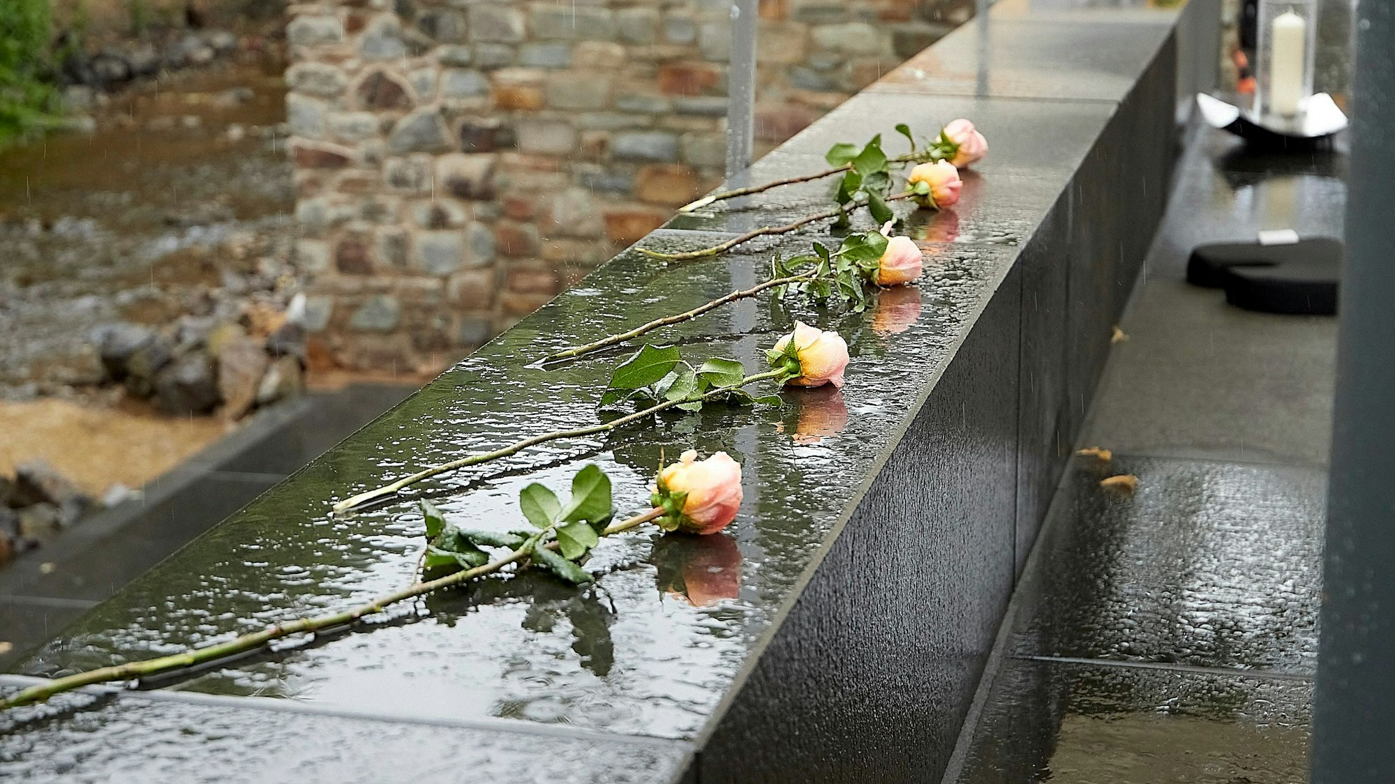 Fünf Rosen liegen im Regen auf einer Mauer.
