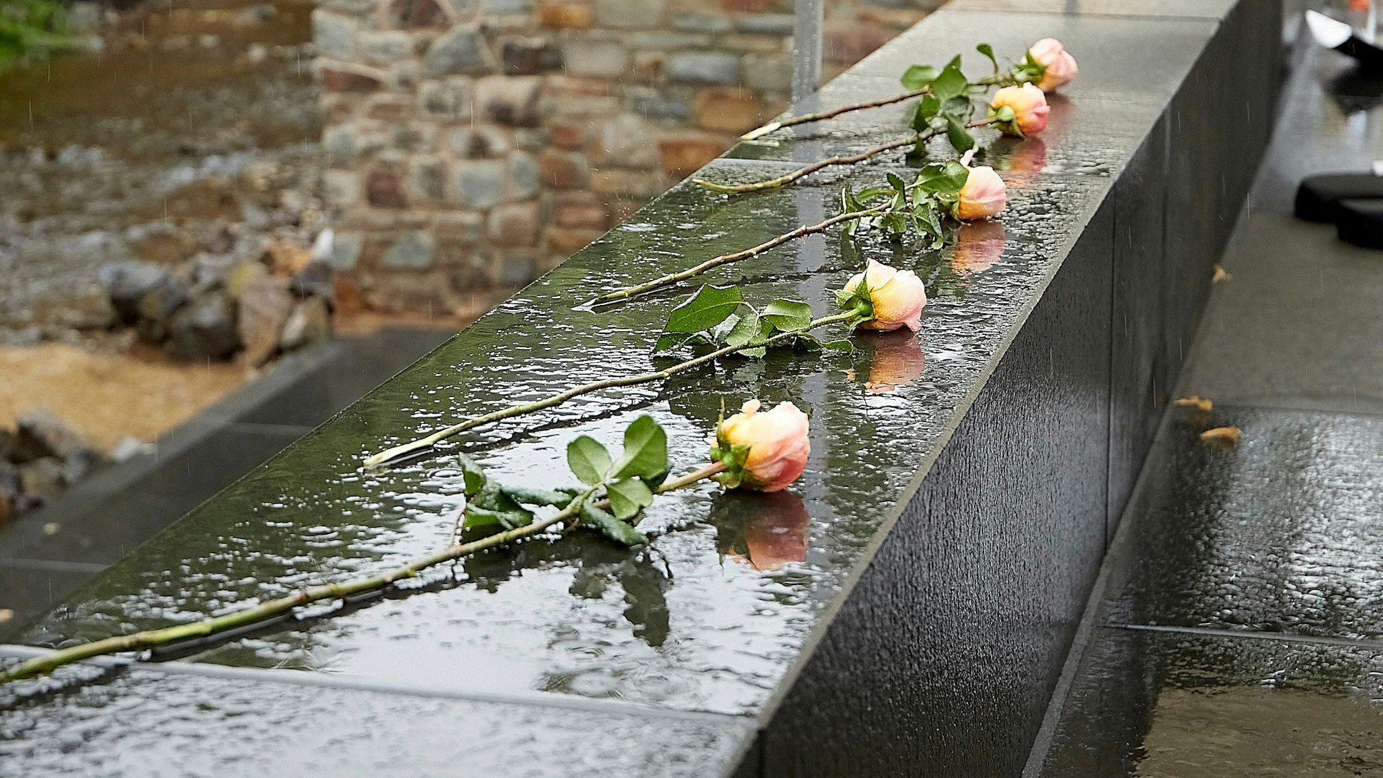 Fünf Rosen liegen als Symbol für die Opfer, die die Flutkatastrophe in Bad Münstereifel gefordert hat, auf einer regennassen Mauer.