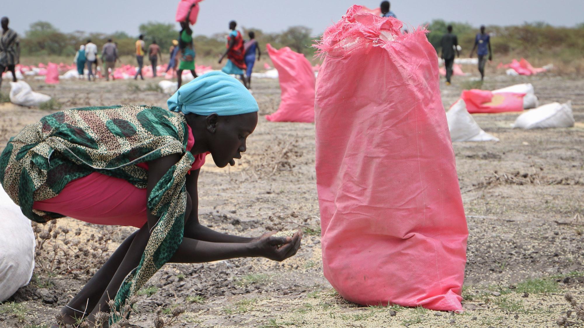 Eine Frau sammelt Hirse vom Boden auf, die in Säcken vom Welternährungsprogramm (WFP) der Vereinten Nationen über der Stadt abgeworfen wurden.
