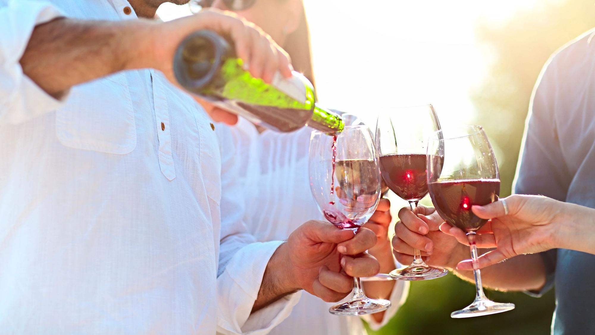 Menschen auf einer Weinparty im Freien.