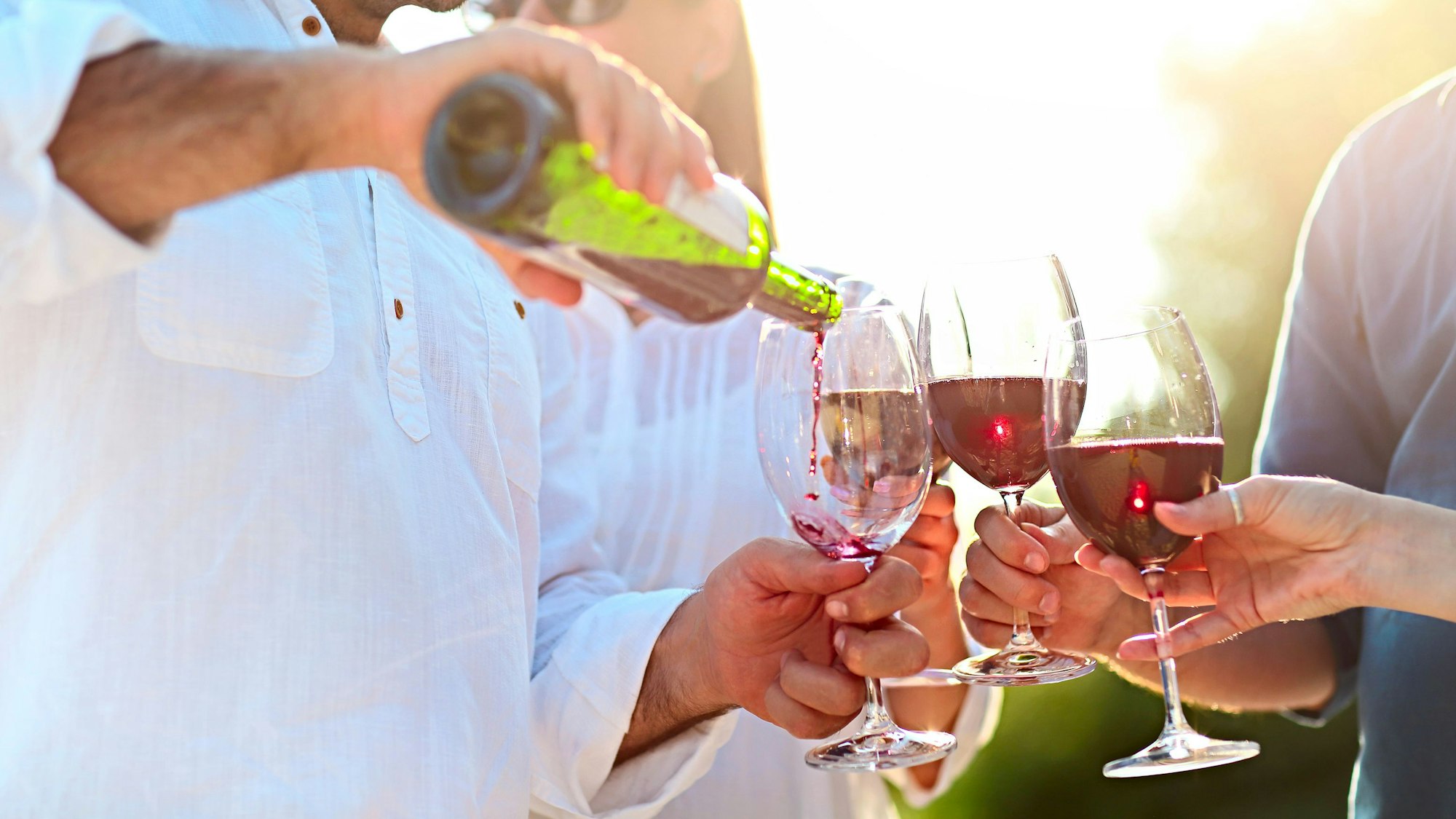 Menschen auf einer Weinparty im Freien.