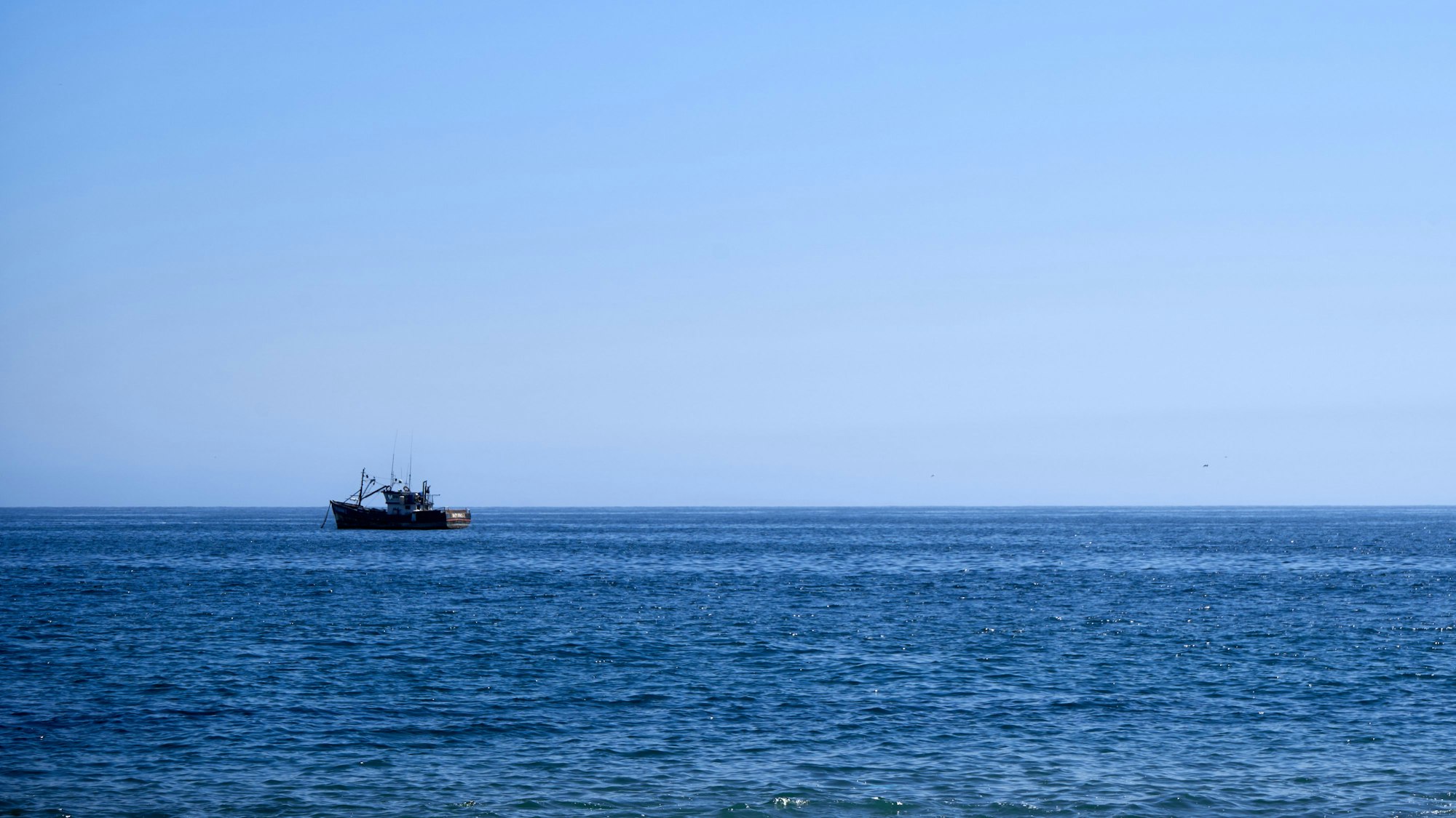 Ein kleines Boot schippert über den Pazifischen Ozean. (Symbolbild)