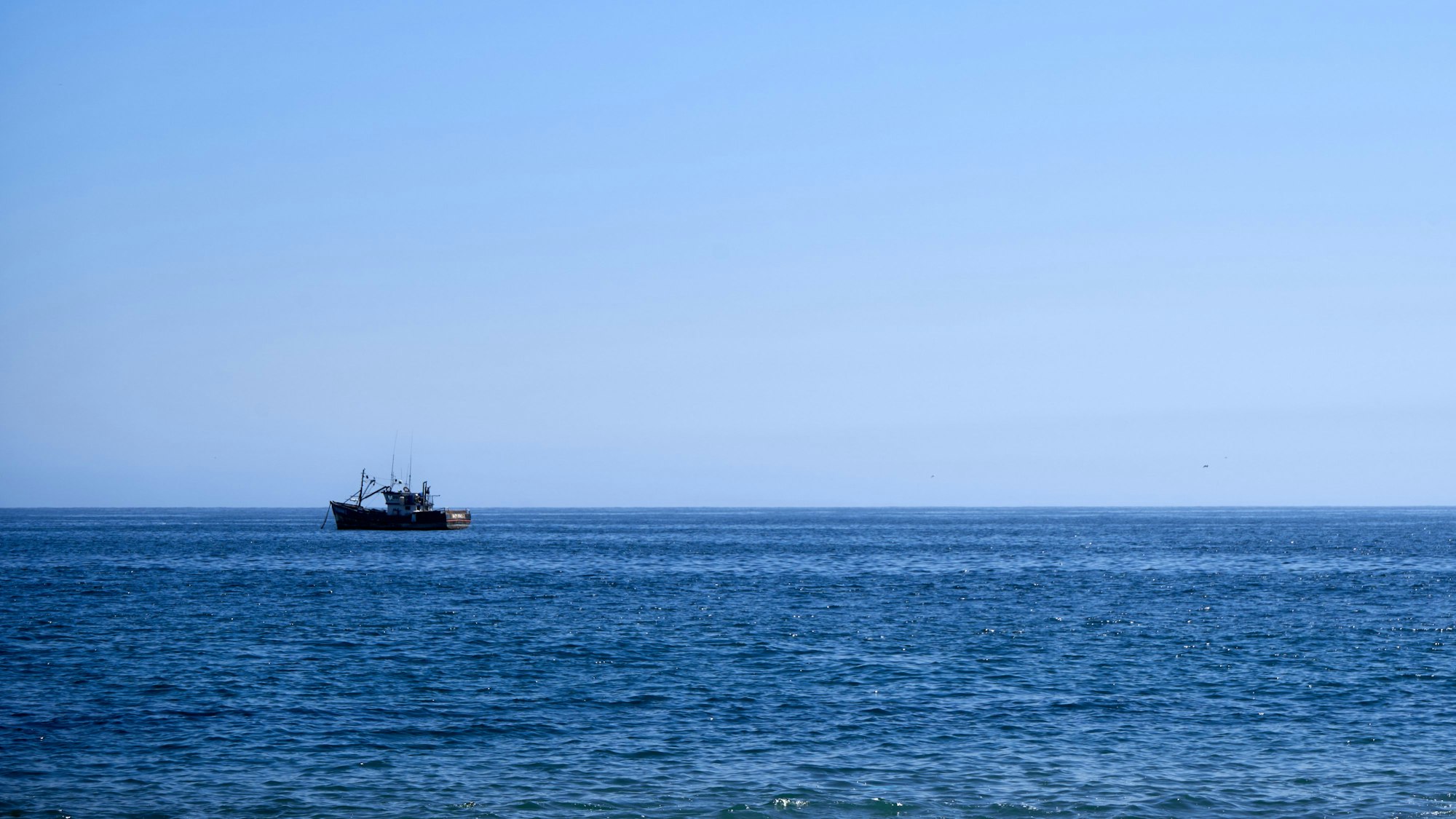 Ein kleines Boot schippert über den Pazifischen Ozean. (Symbolbild)