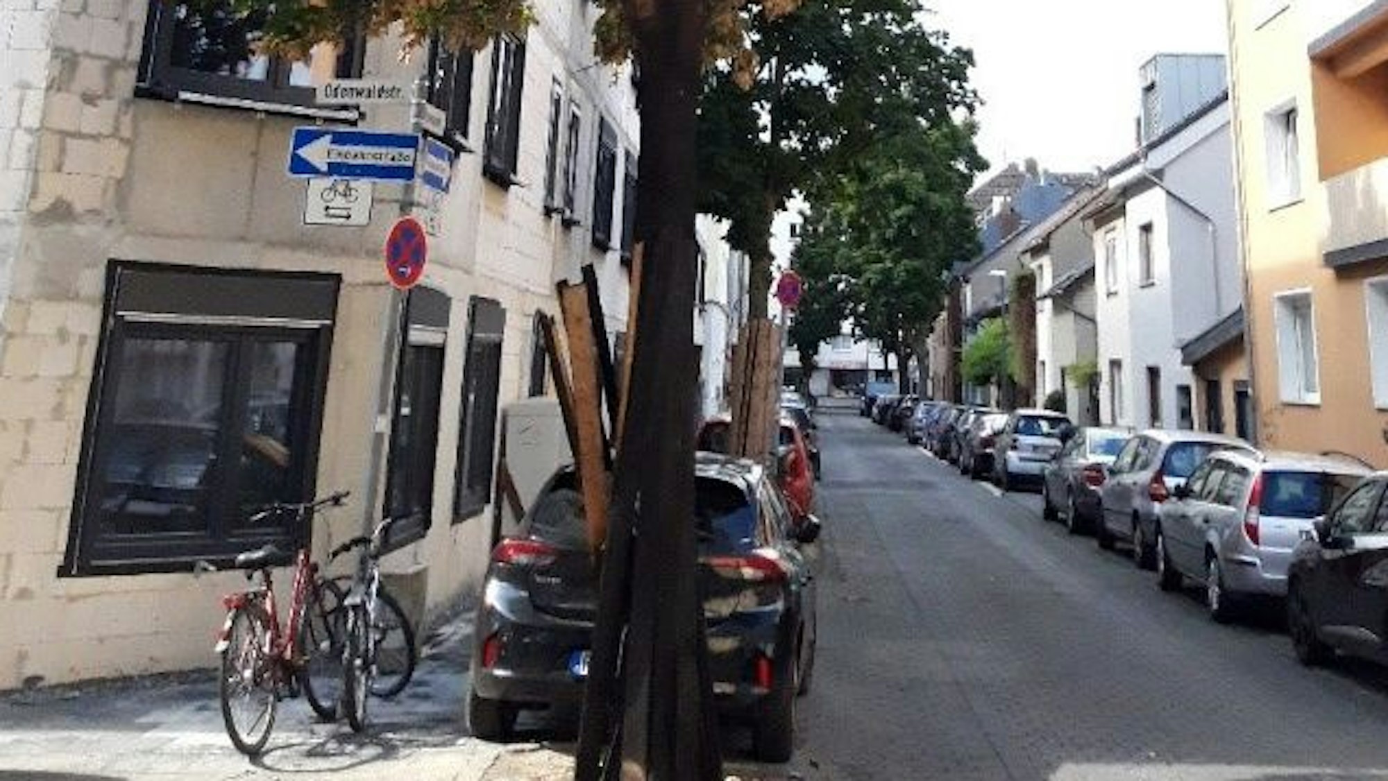 Ein beschädigter Baum steht an einer Straße in Köln.