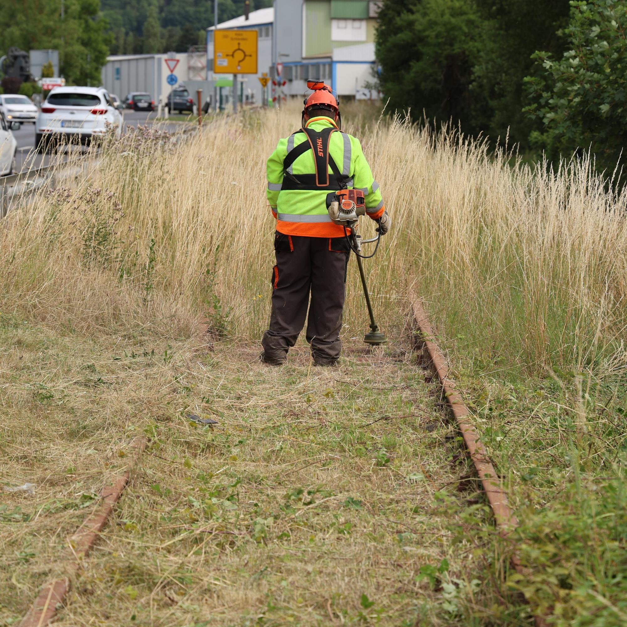 Das Foto zeigt den Mitarbeiter einer Firma, der die Trasse der Oleftalbahn mit einem Freischneider bearbeitet.