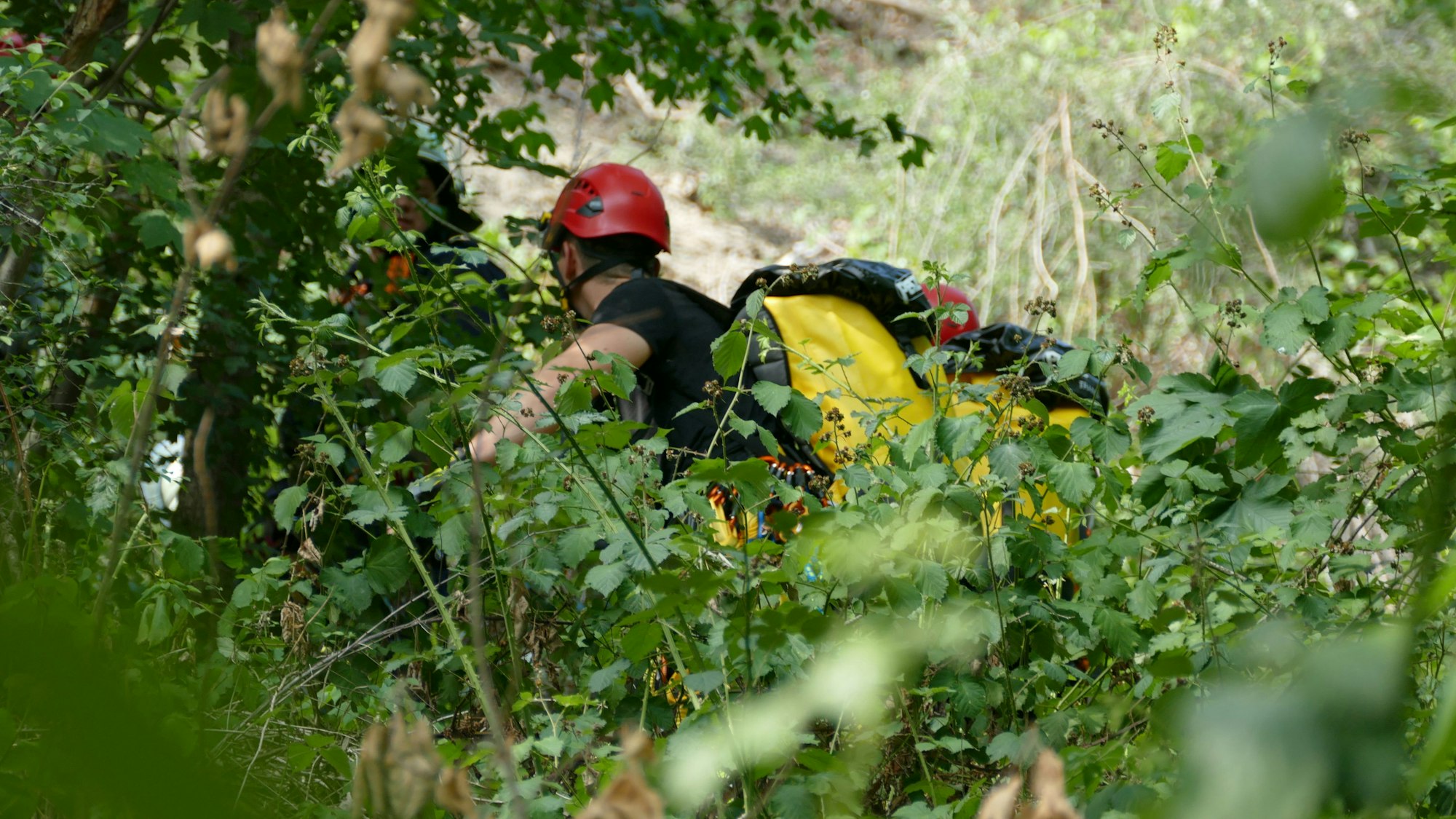 Feuerwehrleute retteten die beiden Verunglückten aus dem Hang.