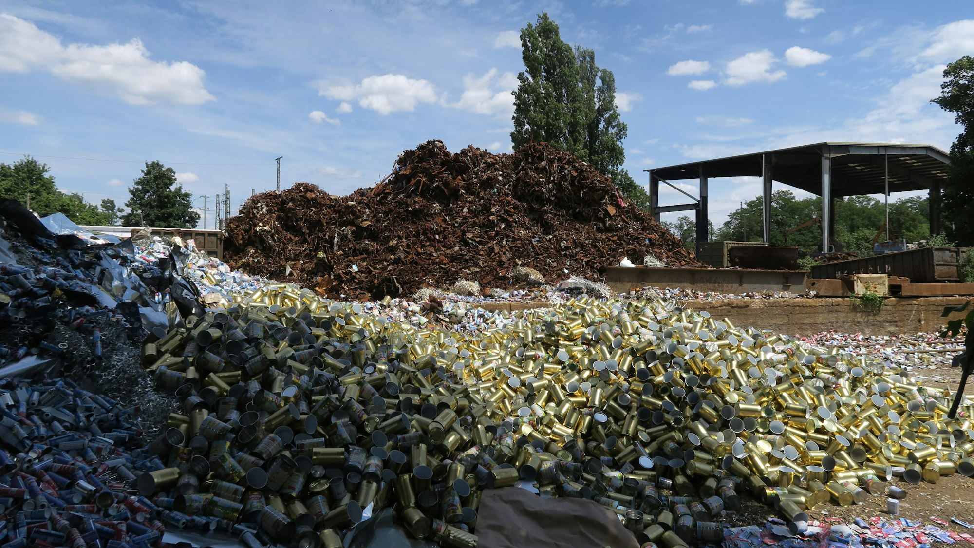 Die Nahrungsmittelreste in den Dosen auf dem Gelände der PK Presswerk Köln liegen auf dem Boden.