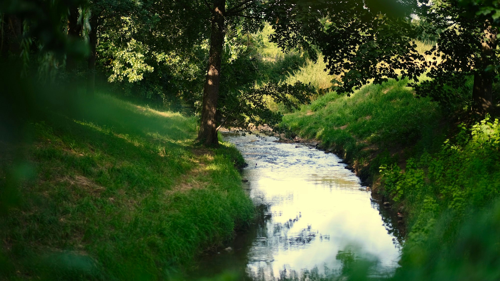 Auf dem Foto ist der Nettelbach in Kerpen zu sehen.