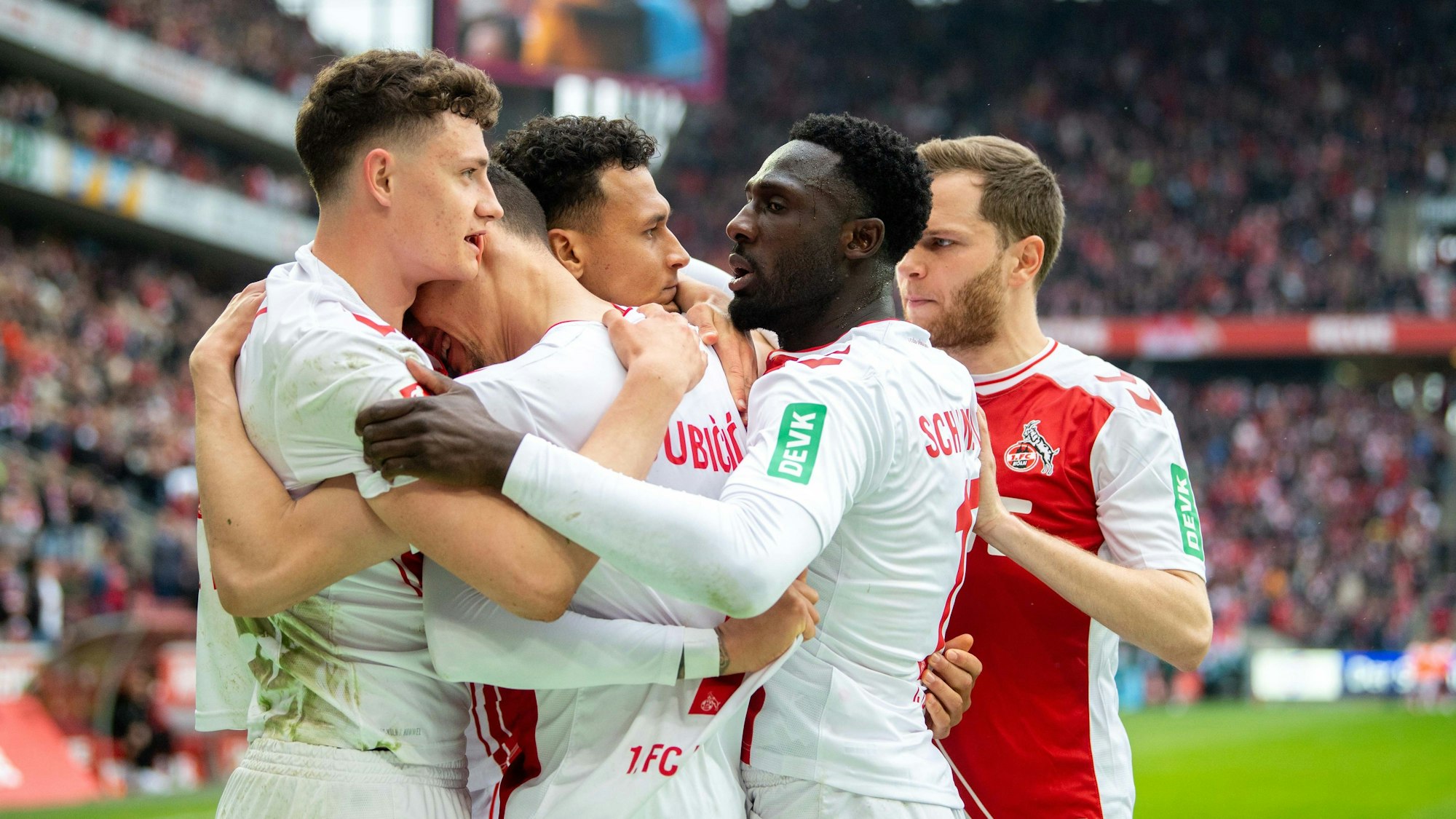 Das Bild zeigt jubelnde Spieler des 1. FC Köln nach einem Torerfolg.