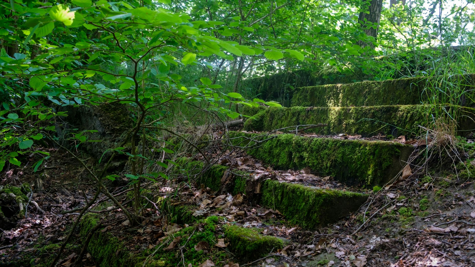 Die Überreste des Freibad Verr