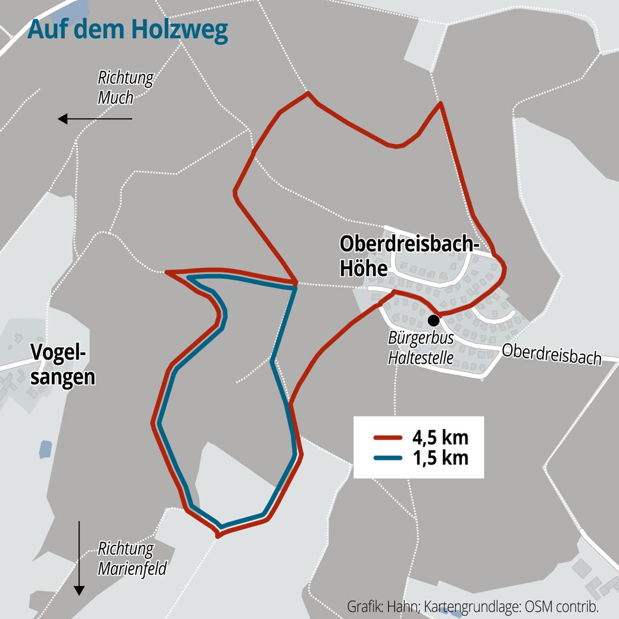 Die Grafik zeigt die beiden Schleifen des Holzweg in Much.
