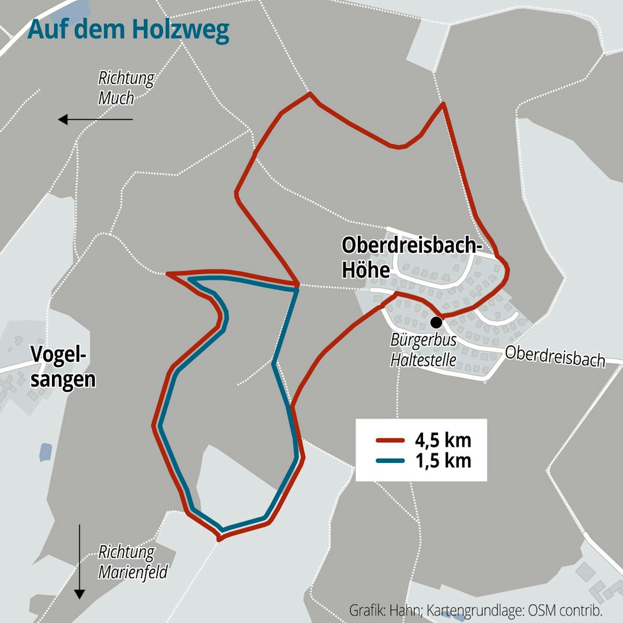 Die Grafik zeigt die beiden Schleifen des Holzweg in Much.