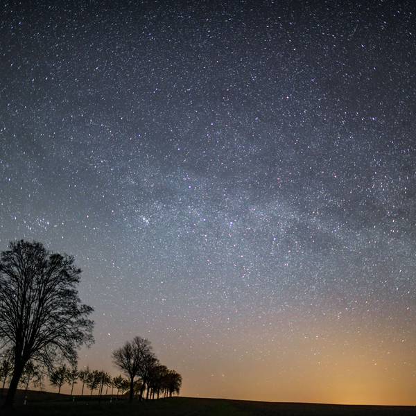 Der Sternenhimmel leuchtet in der Nacht über der Landschaft.