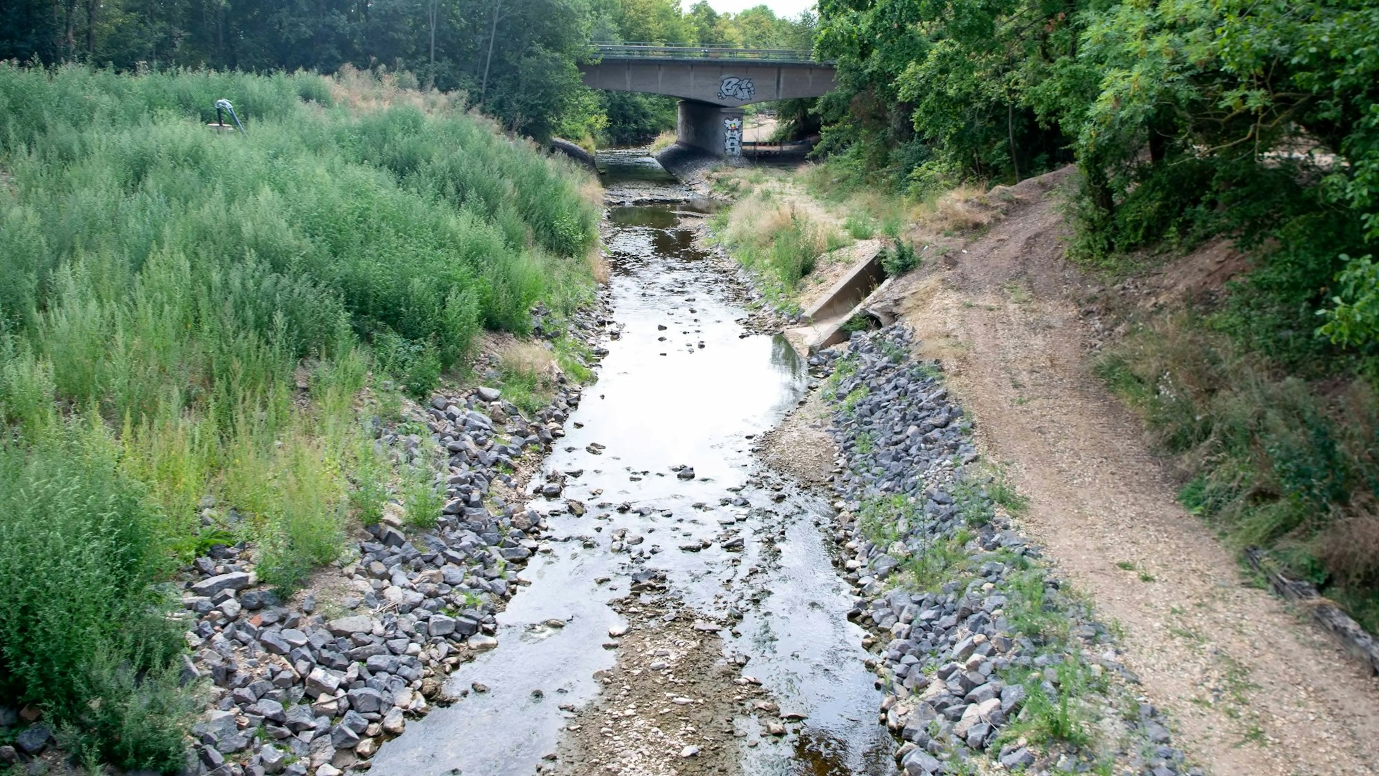 Im Flussbett der Erft ist nur noch ein Bächlein zu sehen. Teilweise liegt der Grund trocken. Am Ufer sind einige Büsche und Gräser aufgrund der Trockenheit braun geworden.