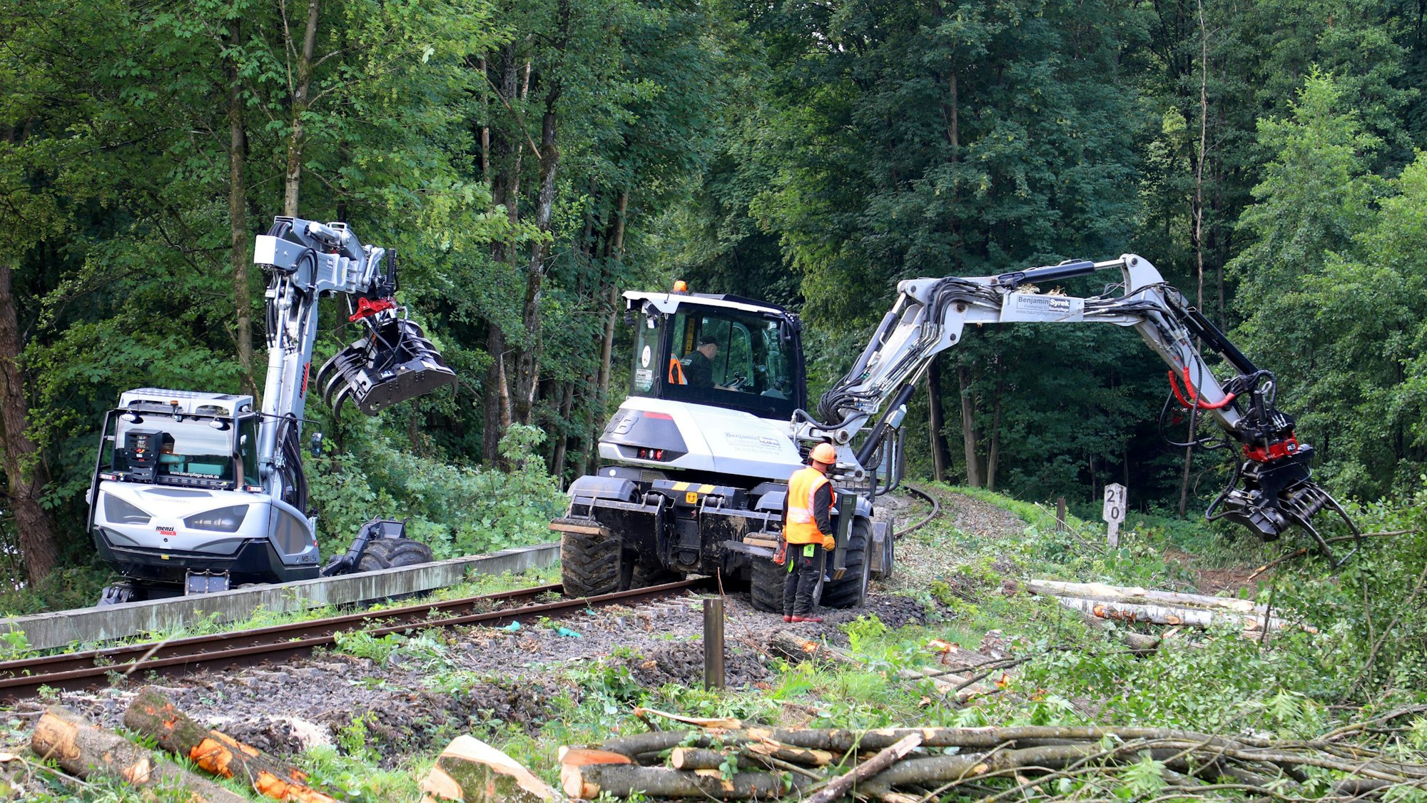Ein Bagger steht auf einem Gleis und hebt mit seinem Greifer Baumstämme an, ein anderer fällt ganze Bäume.