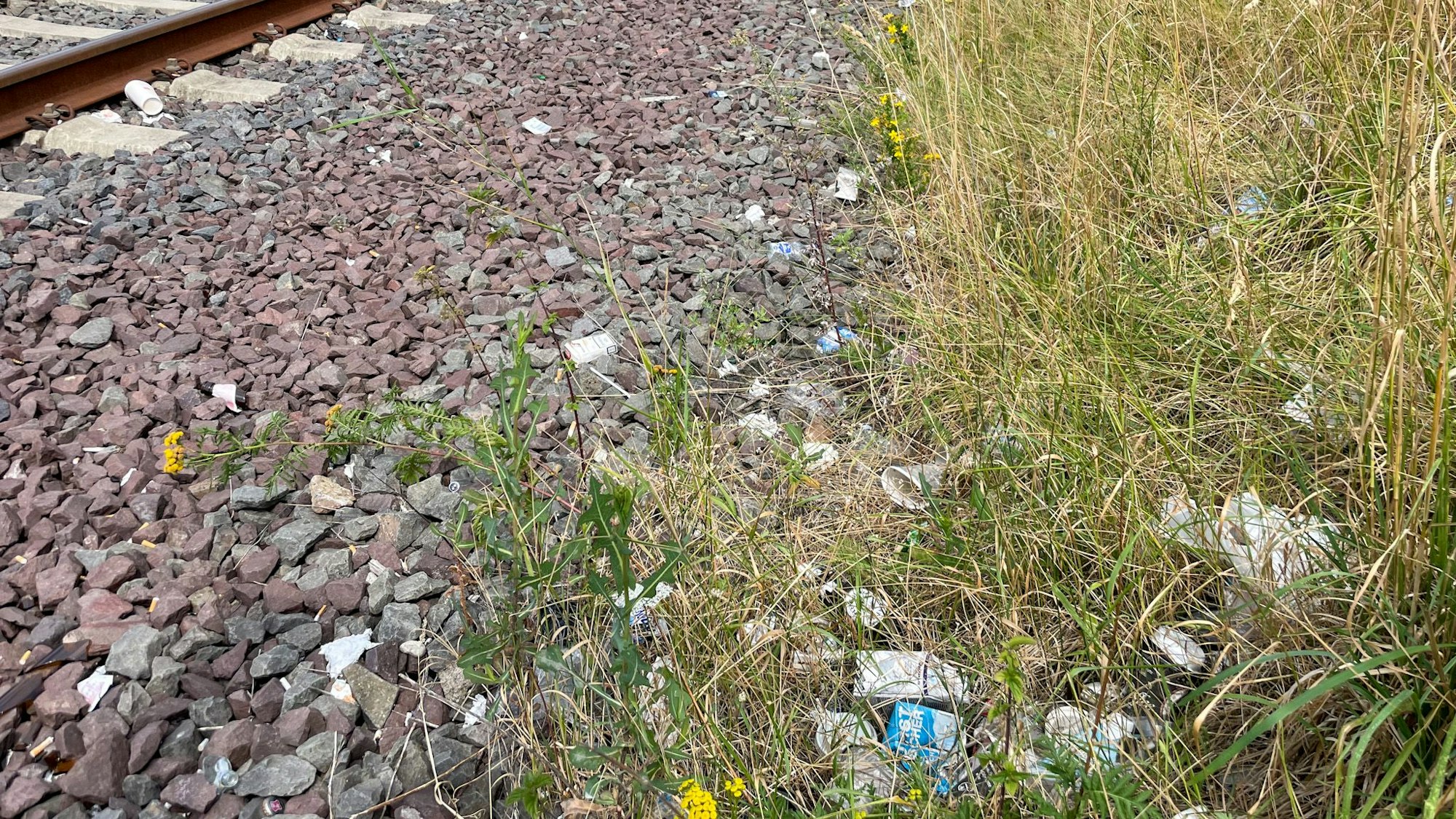 Müll liegt im Gleisbett am Opladener Bahnhof.