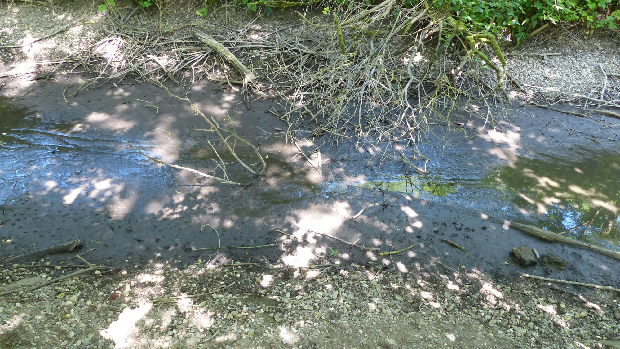 Auf dem Foto ist das Flussbett zu sehen, das stellenweise trockengefallen ist.