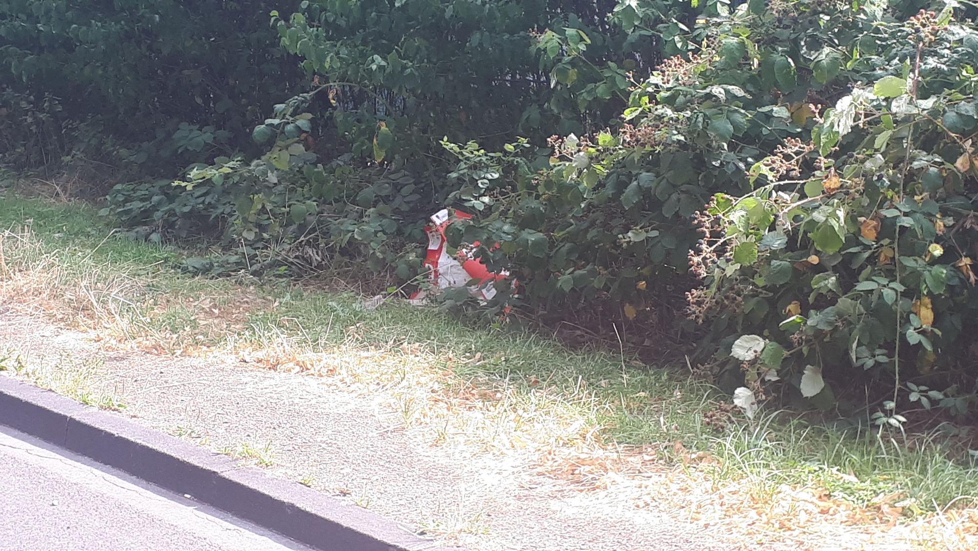 Müll liegt im Grünen.