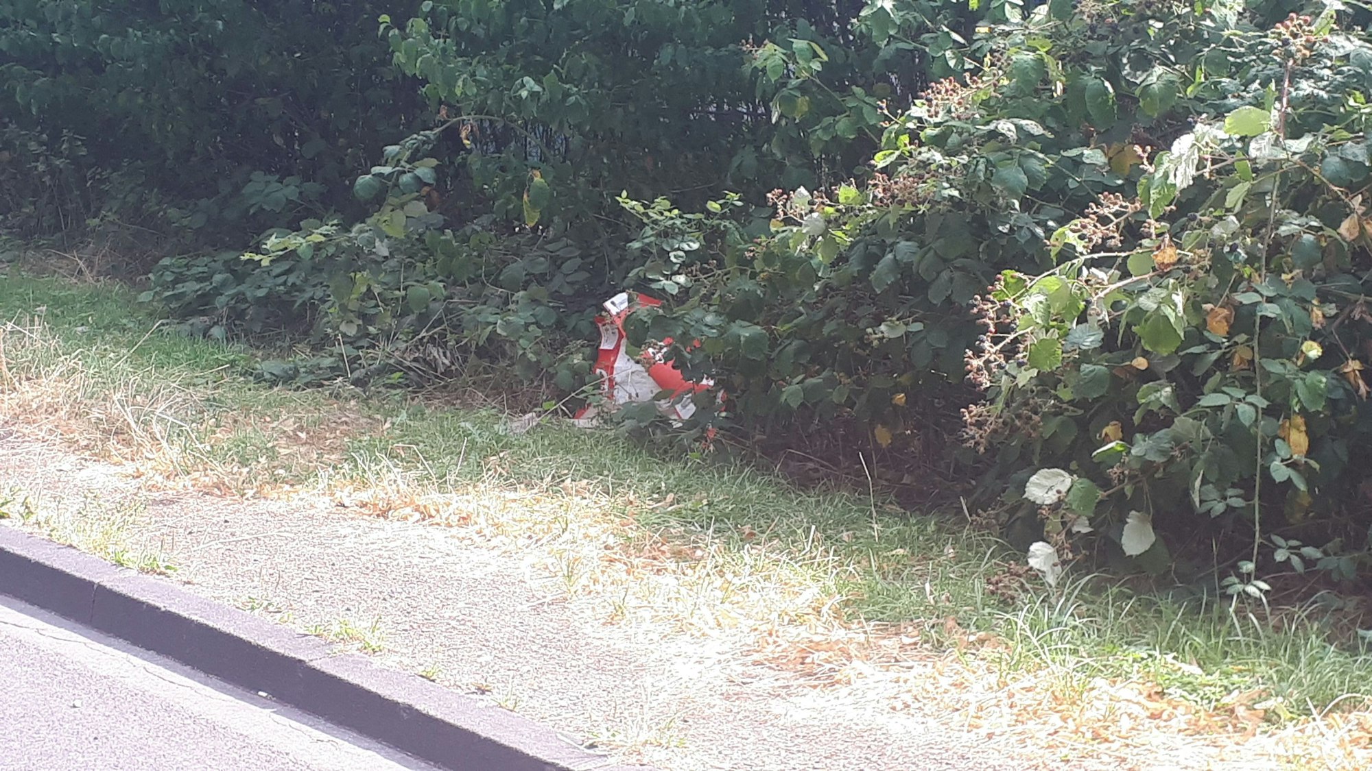 Müll liegt im Grünen.