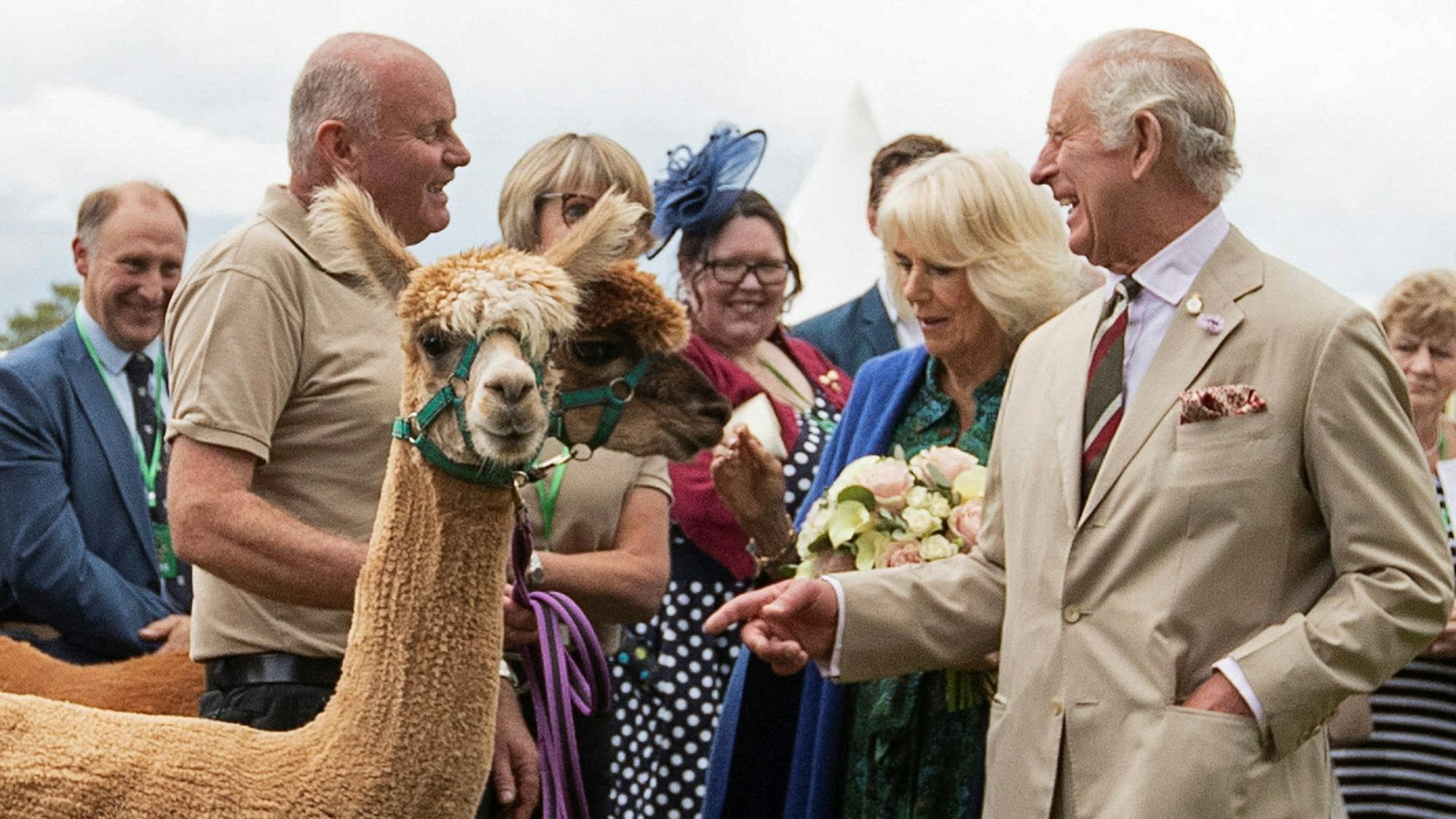 Der britische König Charles III. und die britische Königin Camilla treffen auf Vieh und deren Besitzer.