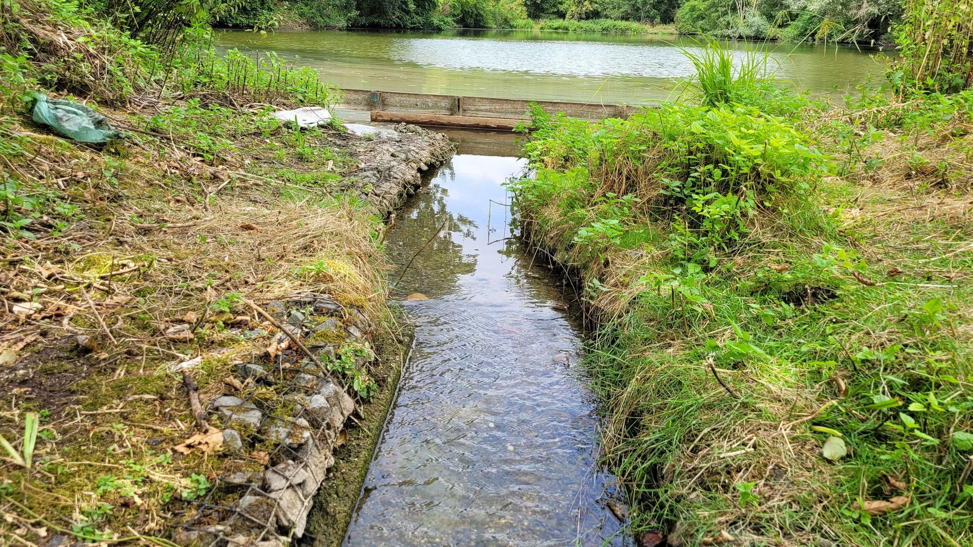Das Foto zeigt einen schmalen Wasserlauf, die Überlaufschwelle, und im Hintergrund einen der Aufbereitungsteiche.