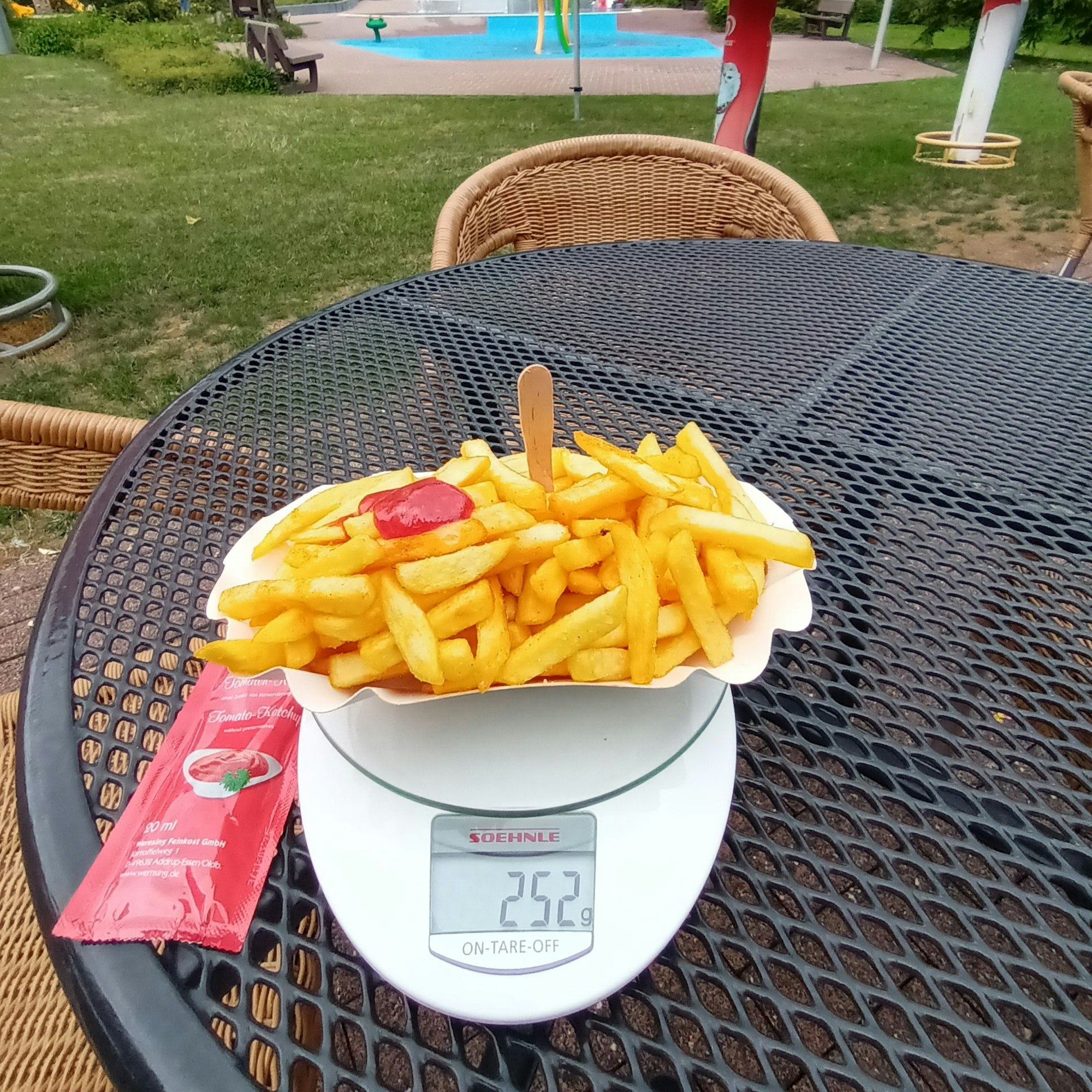 Ein Schälchen Pommes auf einer Küchenwaage, die 252 Gramm anzeigt.