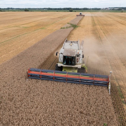 Ukraine, Zghurivka: Ein Mähdrescher erntet Weizen. (Archivbild aus 2022) Foto: Efrem Lukatsky/AP +++ dpa-Bildfunk +++