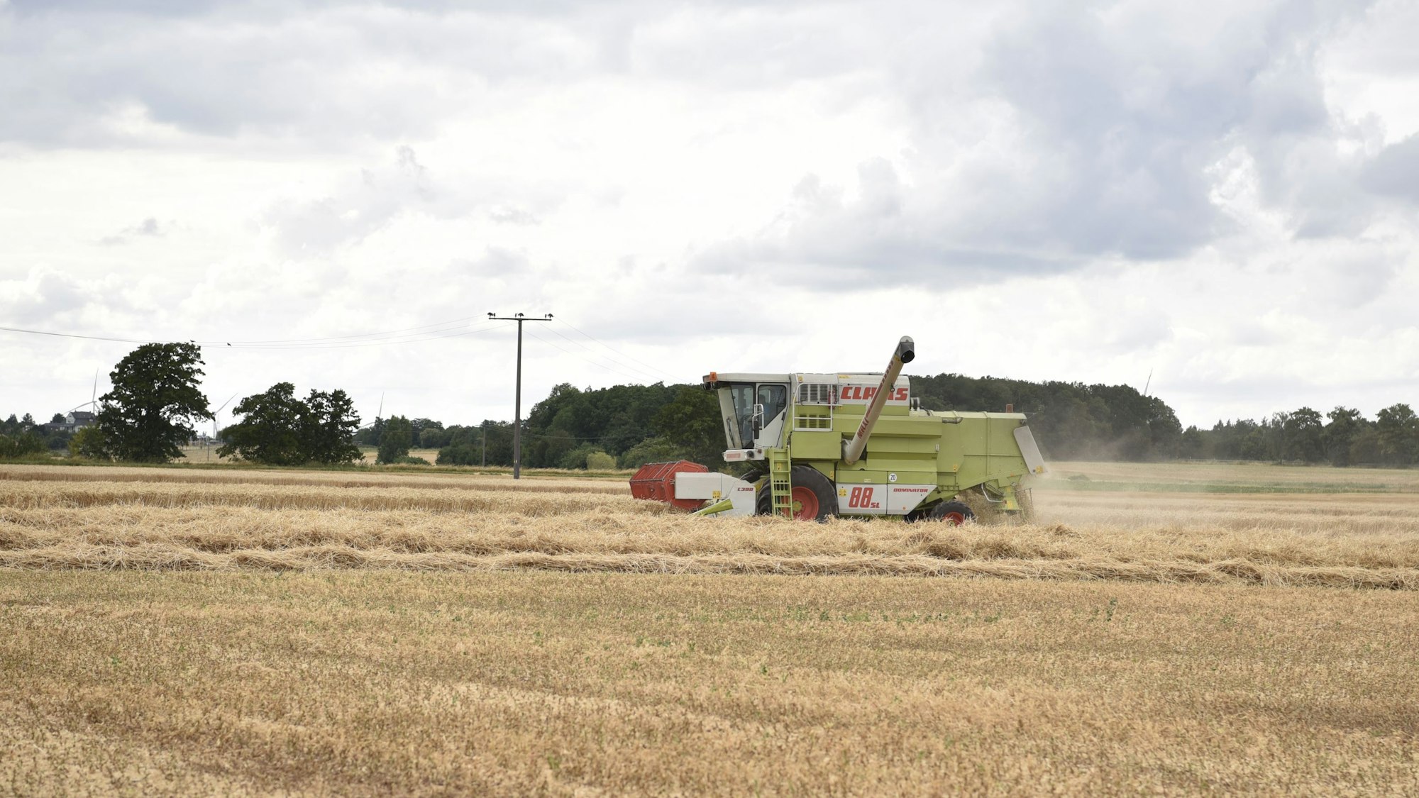 Ein Mähdrescher fährt über ein Getreidefeld bei Zülpich-Eppenich.