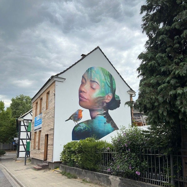 Der Leichlinger Street-Art-Künstler Tank hat sein Kunstwerk an der Mittelstraße fertiggestellt.