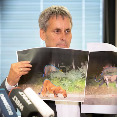 21.07.2023, Brandenburg, Kleinmachnow: Michael Grubert (SPD), Bürgermeister von Kleinmachnow, erklärt bei einem Pressegespräch anhand von Fotos, weshalb es sich bei dem gesuchten Raubtier um keine Löwin handelt.