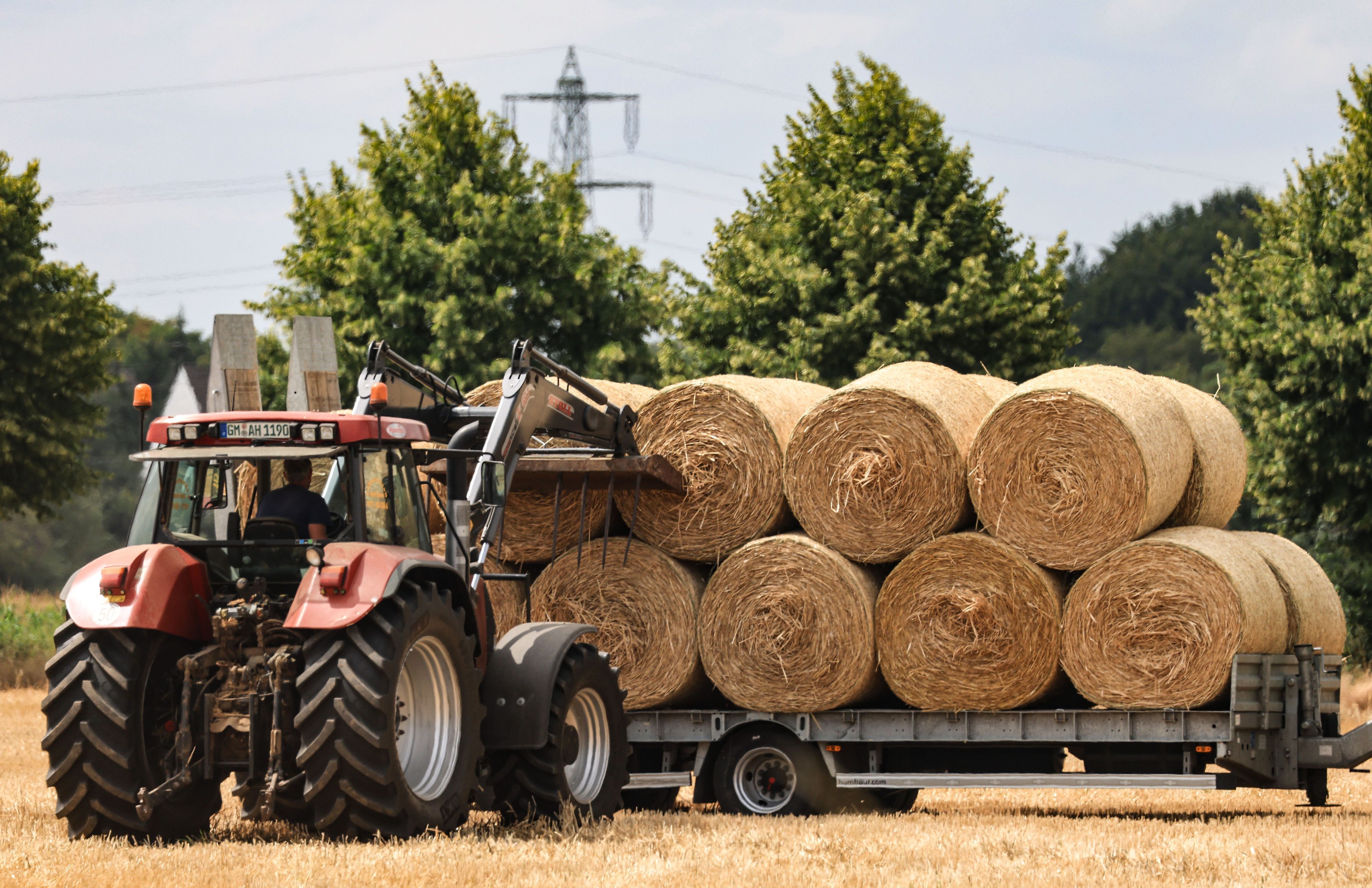 Ein Landwirt stapelt in der Nähe von Niederkassel im Rhein-Sieg Kreis Strohballen mit seinem Traktor auf einen Anhänger.