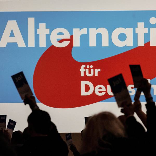 Delegierte der Afd halten bei einem Parteitag der AfD Stimmkarten hoch.