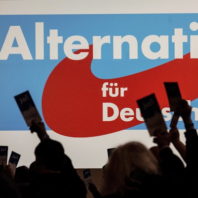 Delegierte der Afd halten bei einem Parteitag der AfD Stimmkarten hoch.