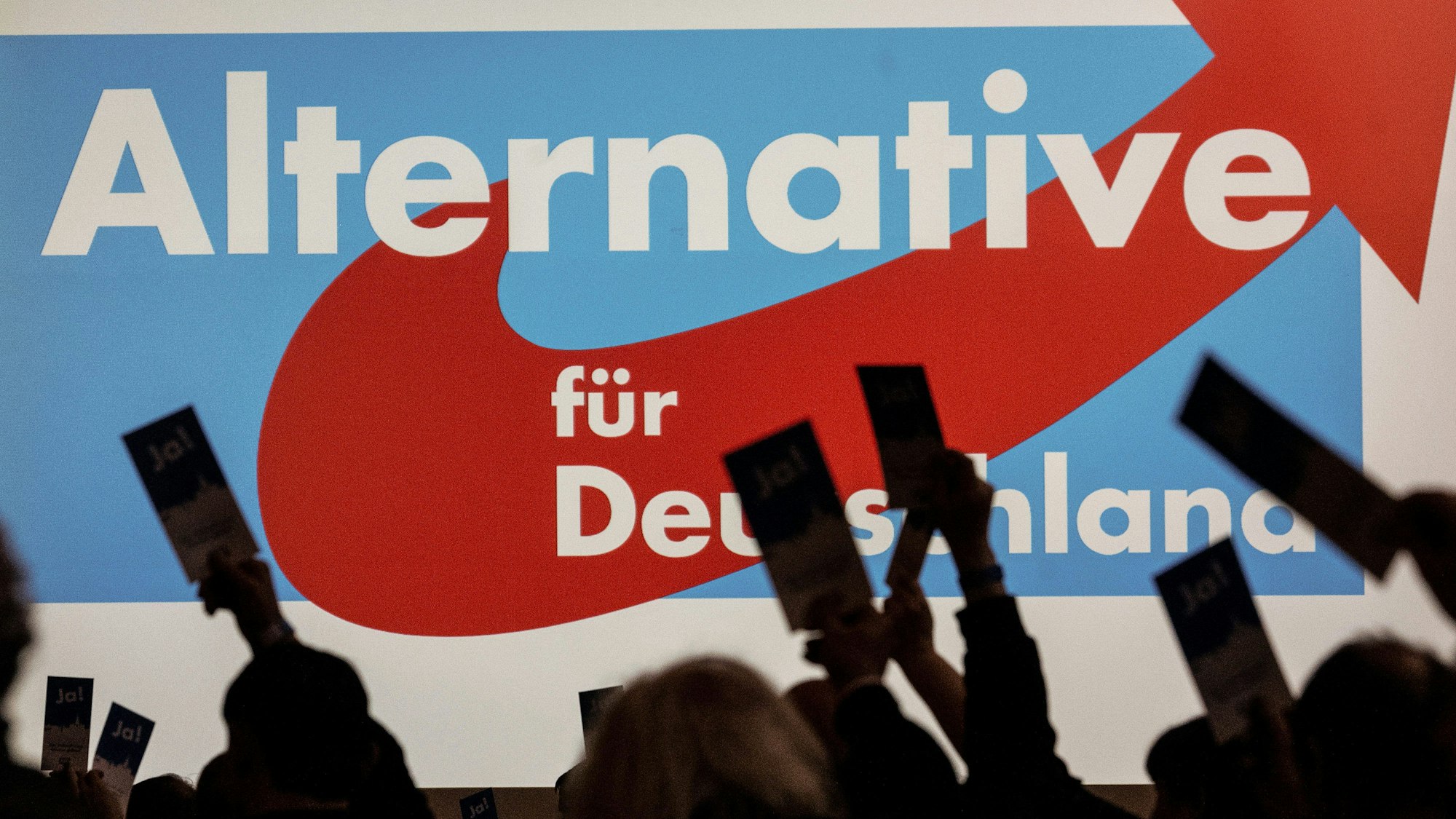 Delegierte der Afd halten bei einem Parteitag der AfD Stimmkarten hoch.