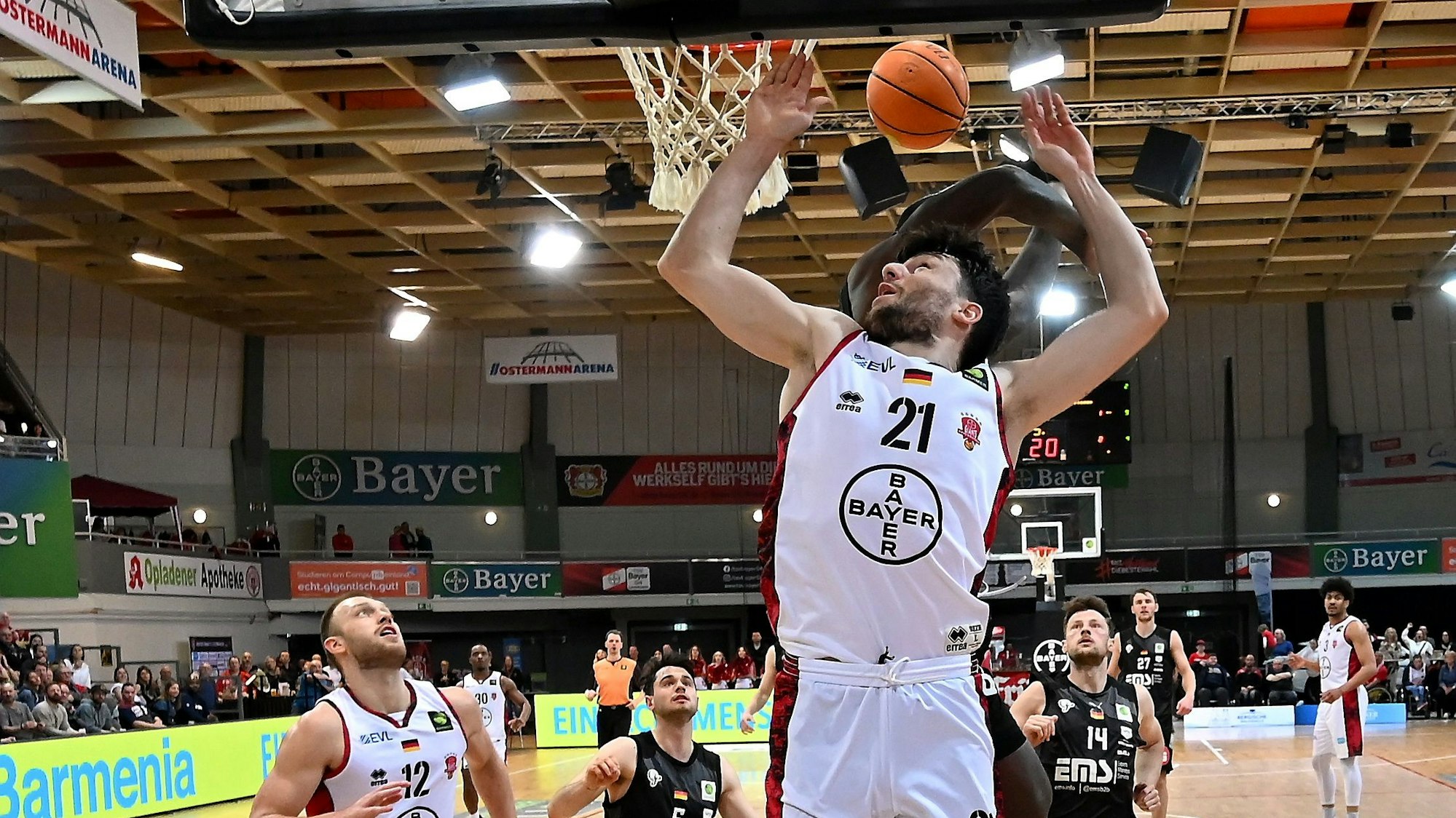 09.04.2023, Basketball-Bayer Giants-Nürnberg Falcons
vorne: Robert Drijencic (Bayer)
links: Melvin Jostmann (Bayer)
Foto: Uli Herhaus