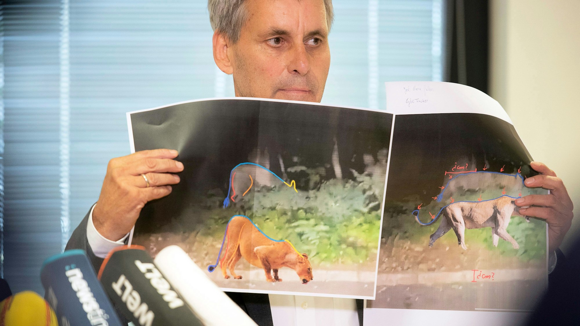Michael Grubert (SPD), Bürgermeister von Kleinmachnow, erklärte bei einem Pressegespräch anhand von Fotos, weshalb es sich bei dem gesuchten Raubtier um keine Löwin handelt.