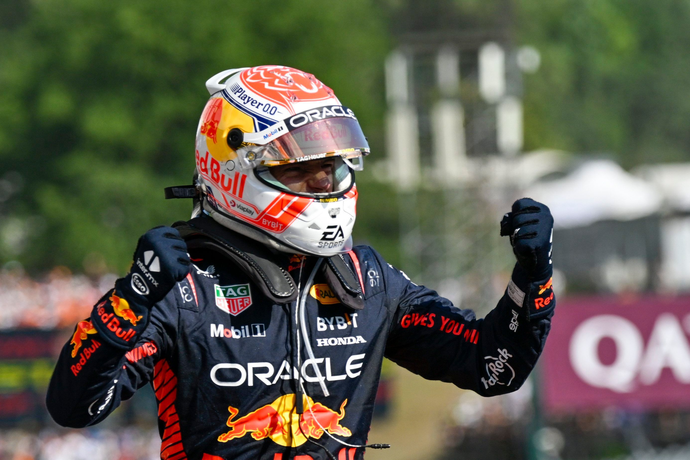 Max Verstappen feiert nach seinem Sieg