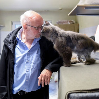 Kater Calva zeigt sich bei der Begegnung mit Wilfried Wiedeloh anschmiegsam und schmust mit ihm herum.