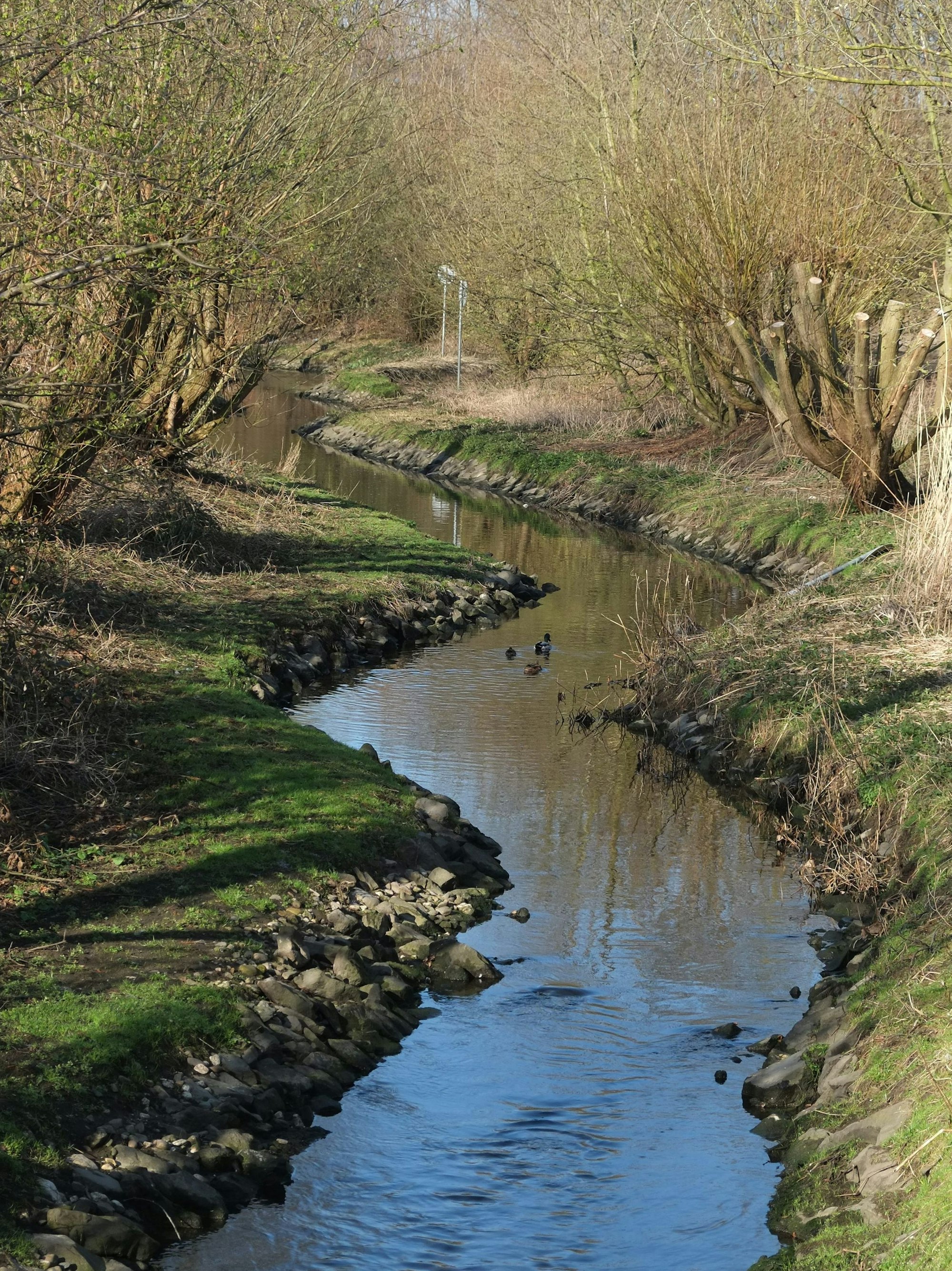 Der Frechener Bach schlängelt sich durch die Grüngürtel.